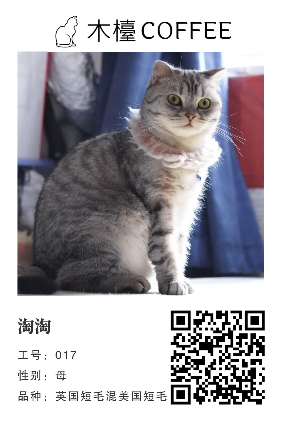 淘淘