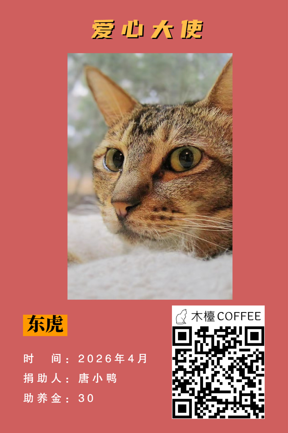 东虎 助养记录