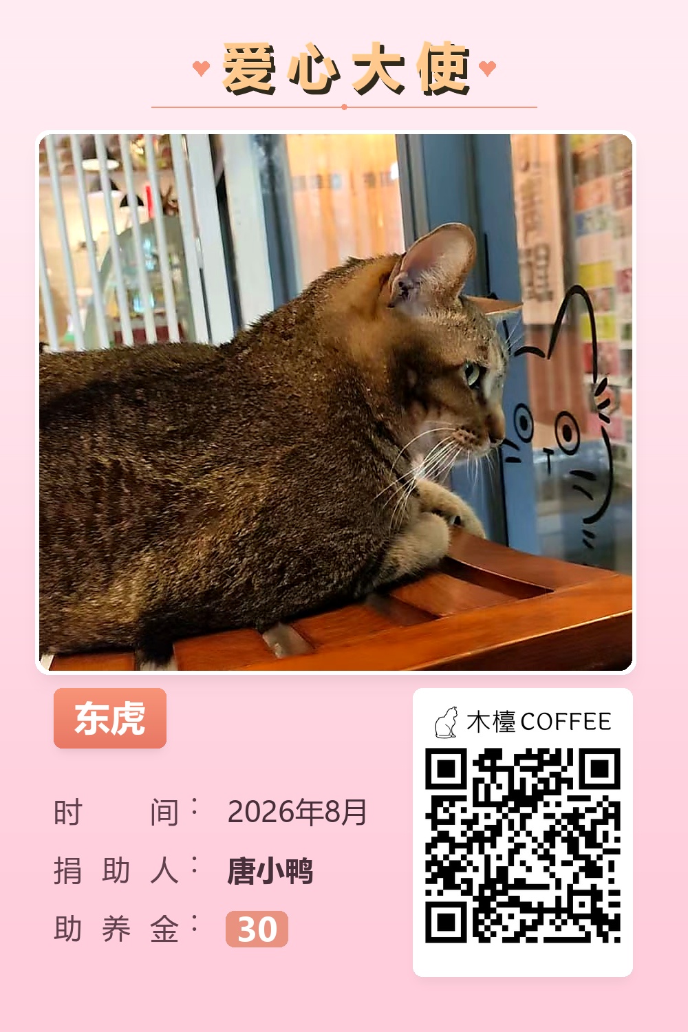 东虎 助养记录