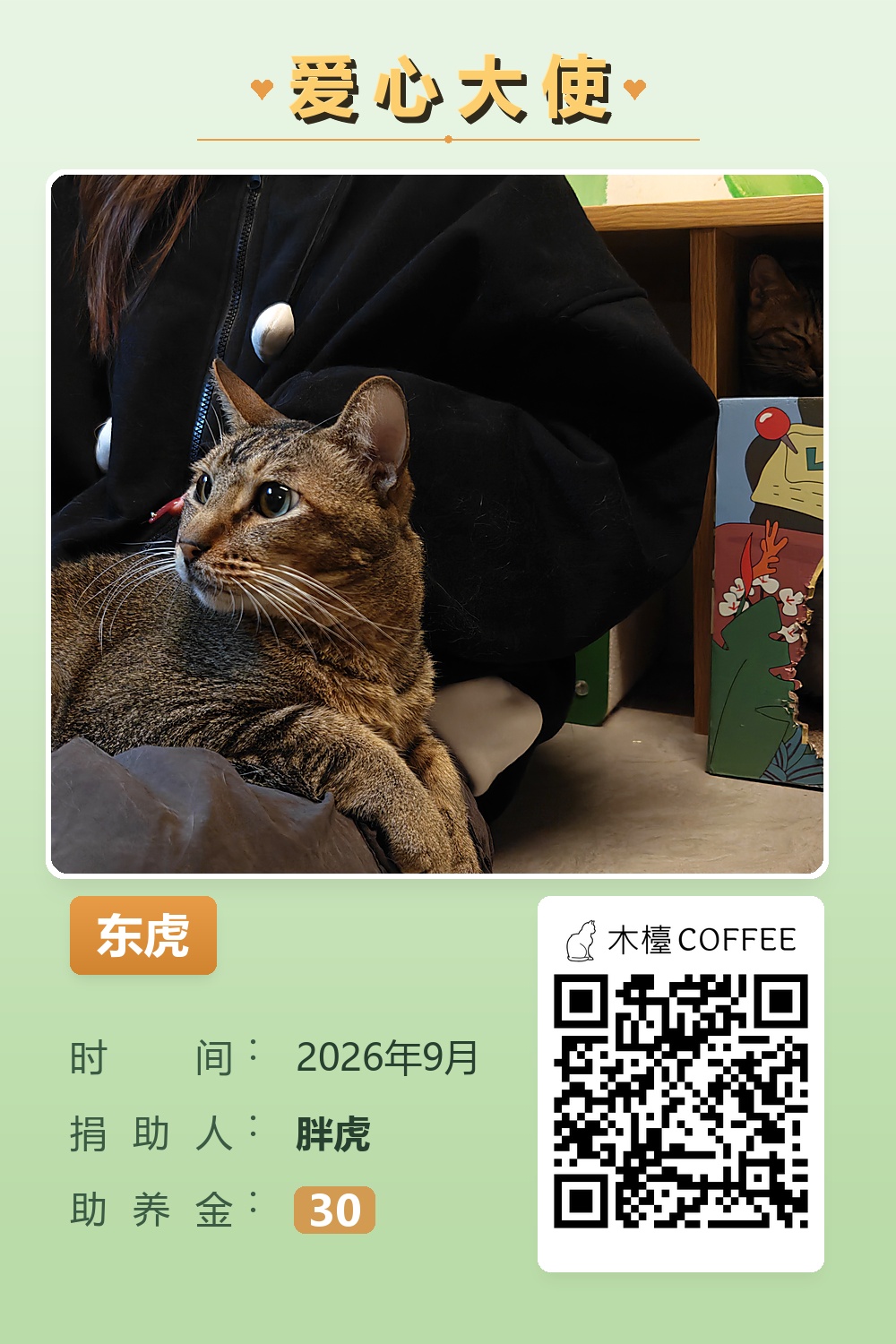 东虎 助养记录