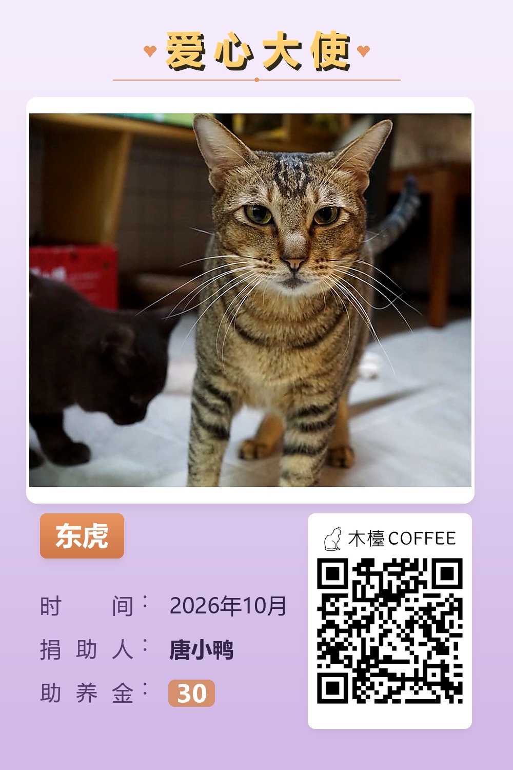 东虎 助养记录