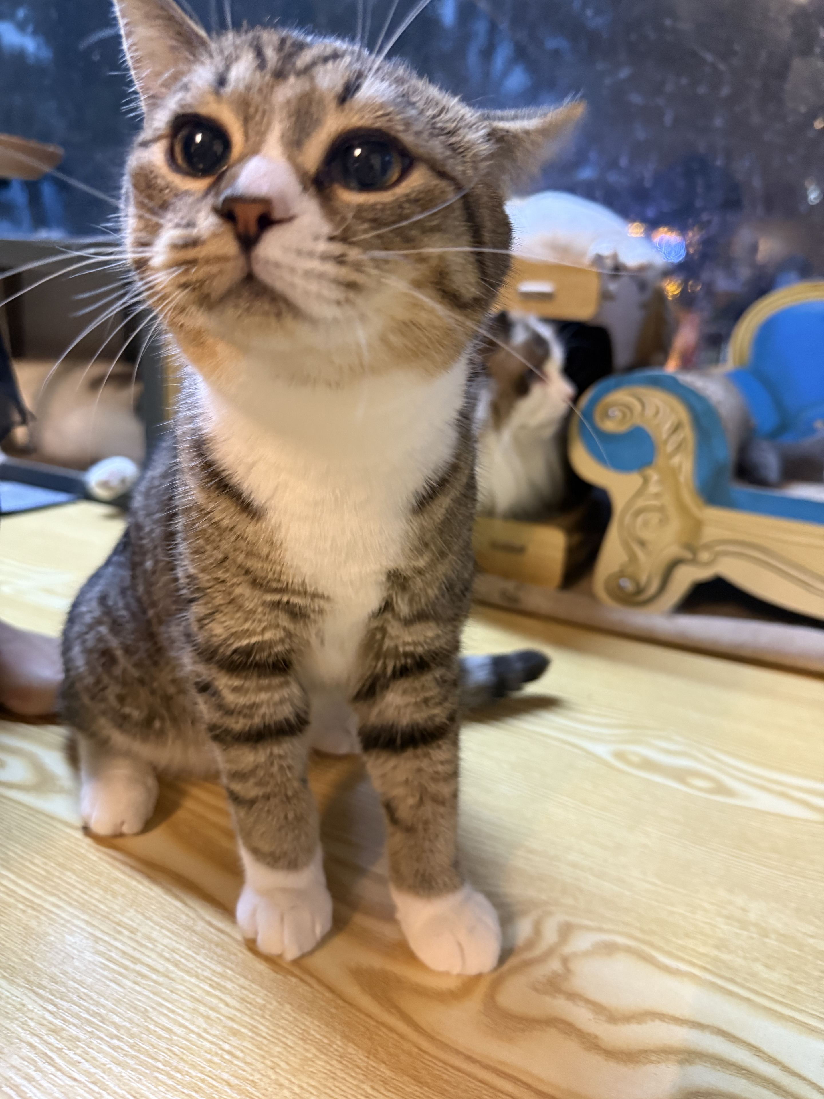 伍佰 相册