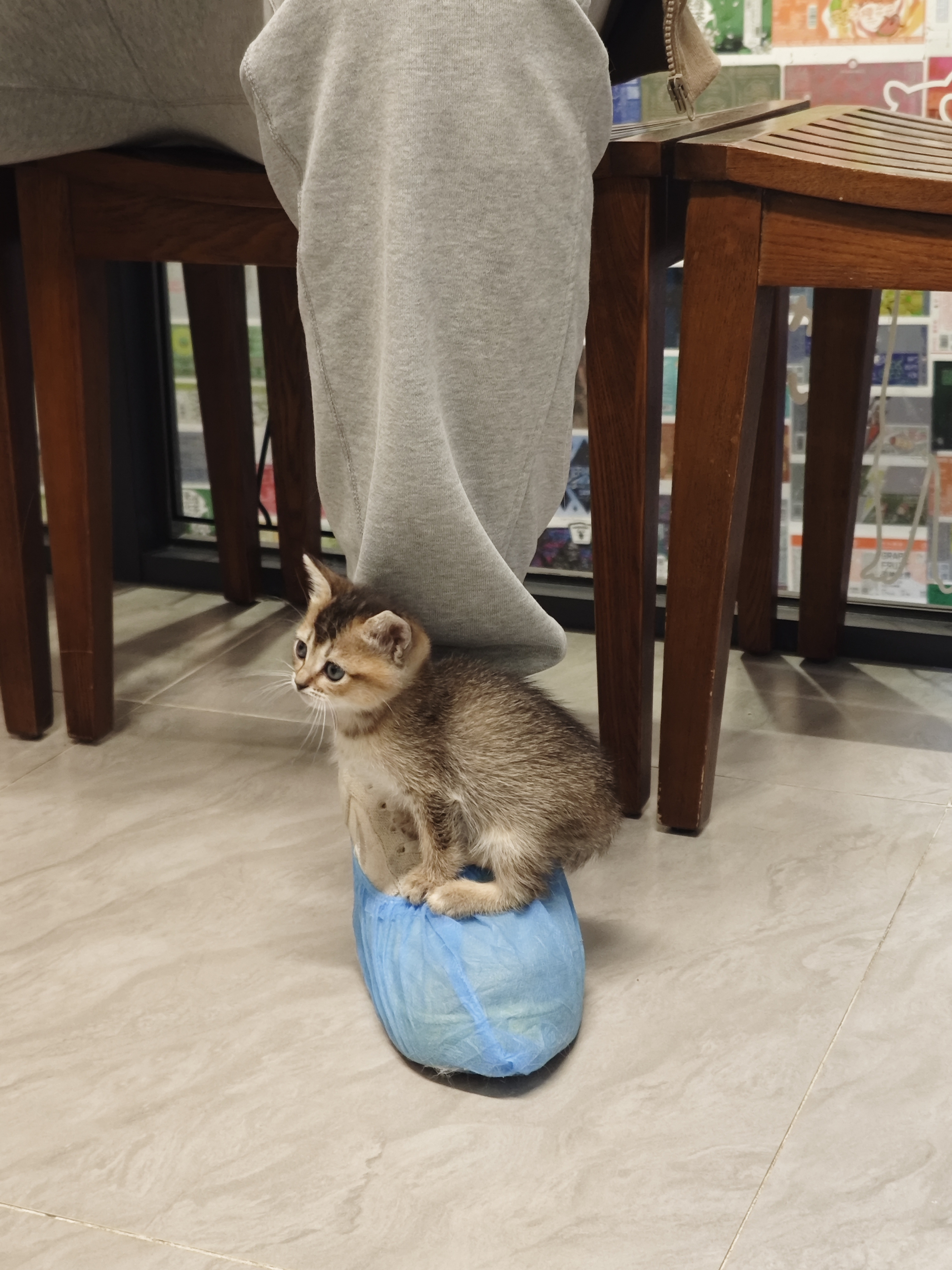 伍佰 相册