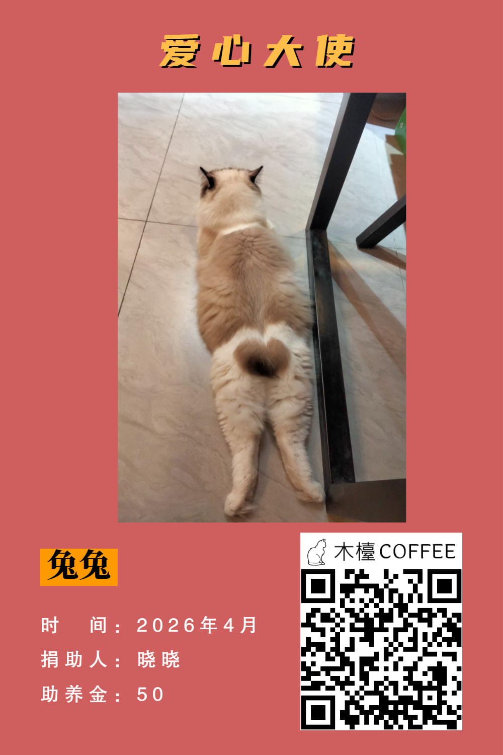 兔兔 助养记录