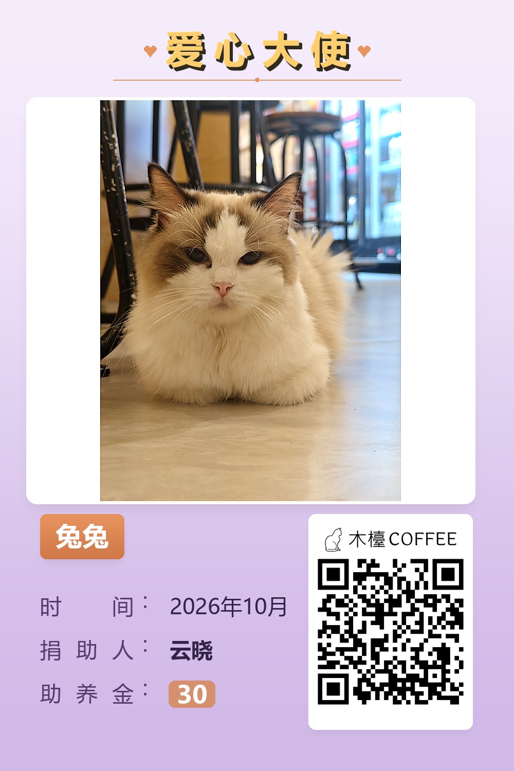 兔兔 助养记录