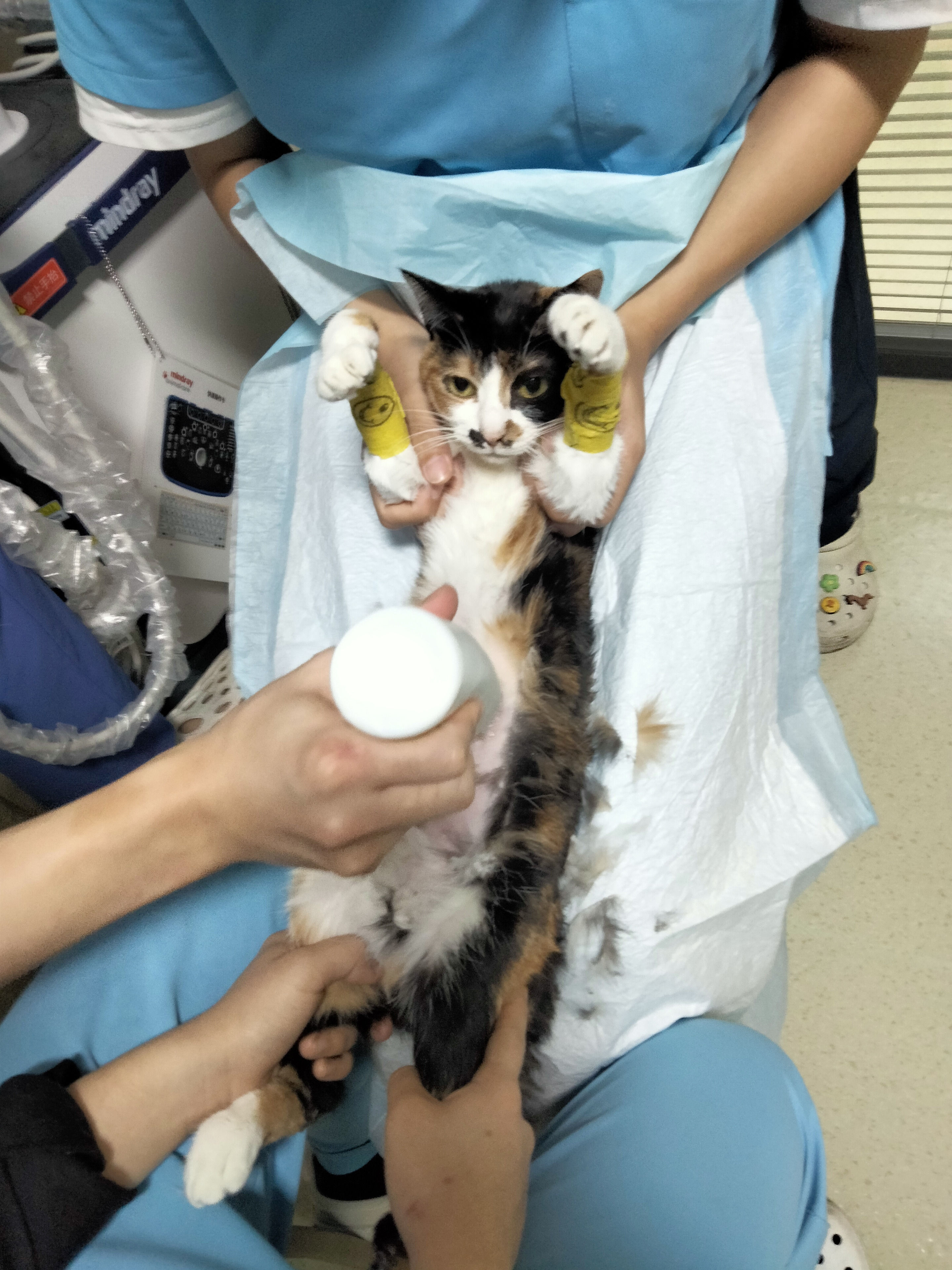 十二 相册