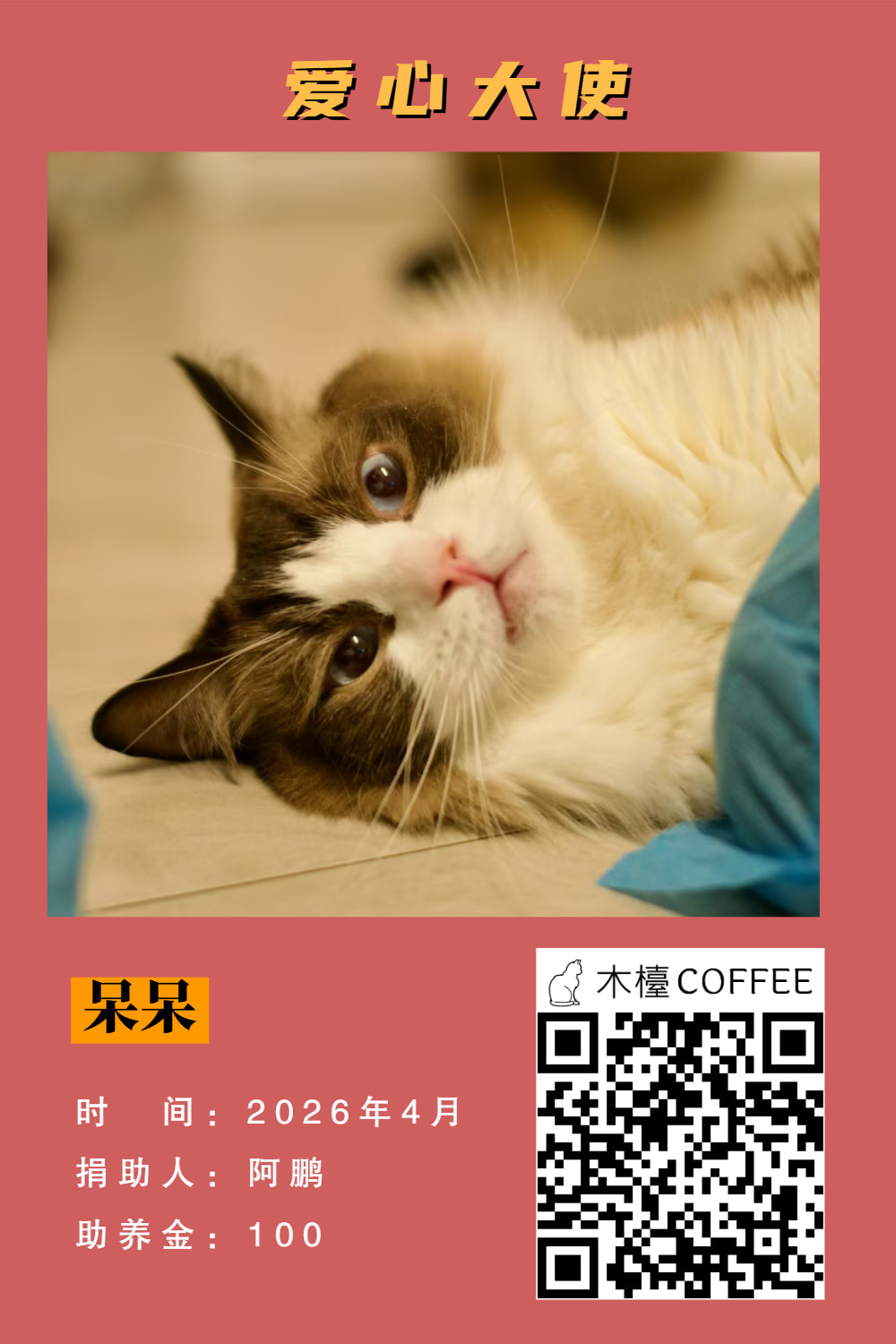 呆呆 助养记录