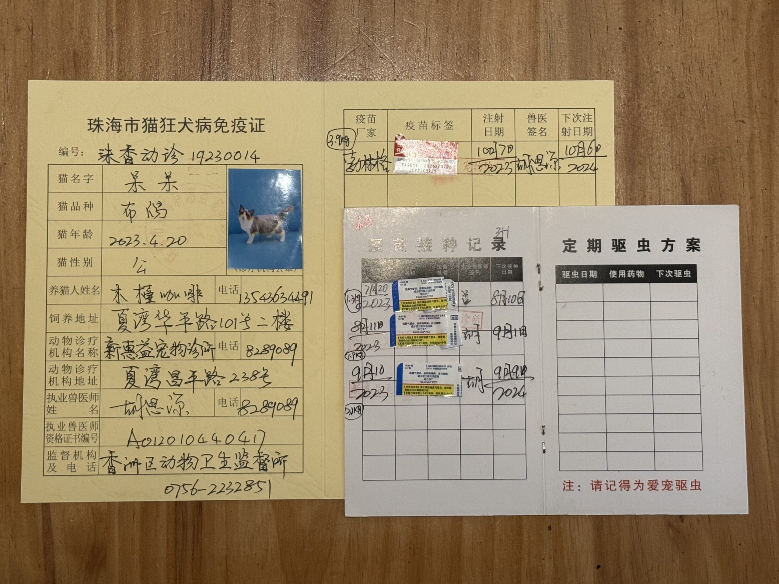 呆呆 疫苗证