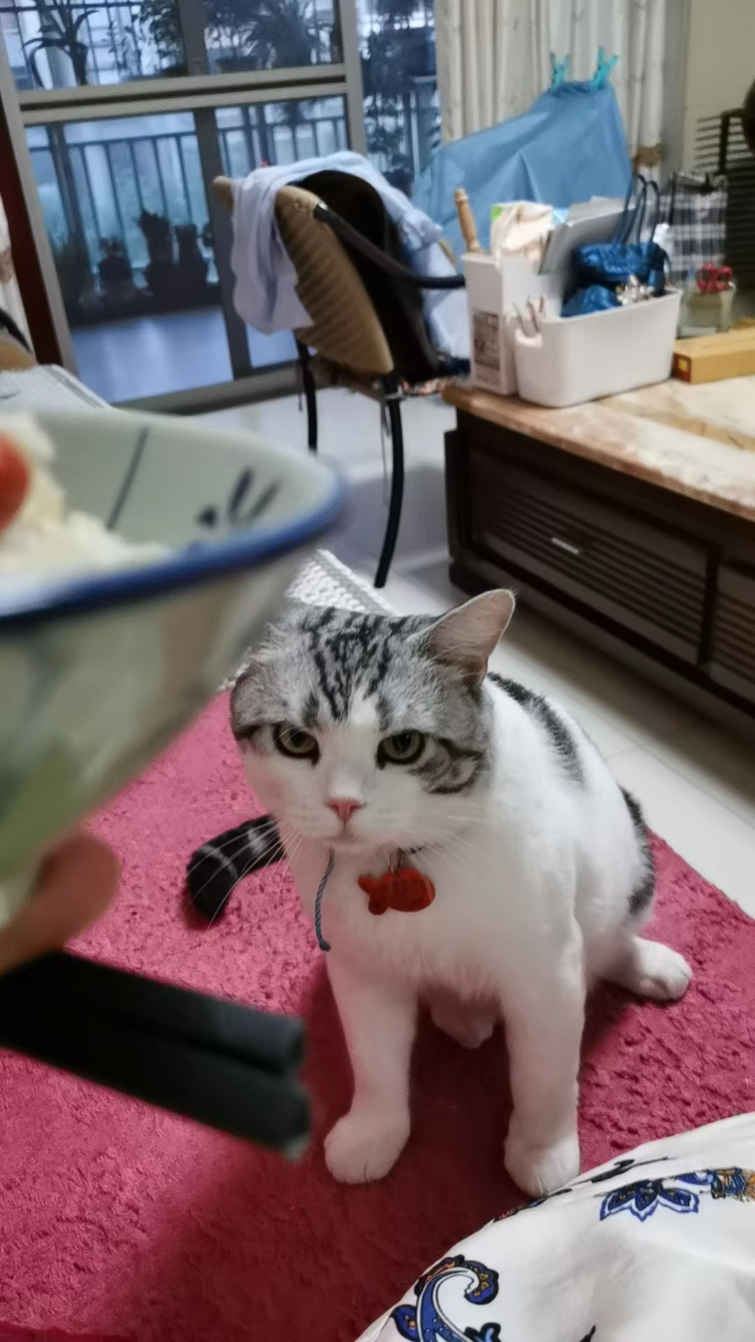 大吉 相册