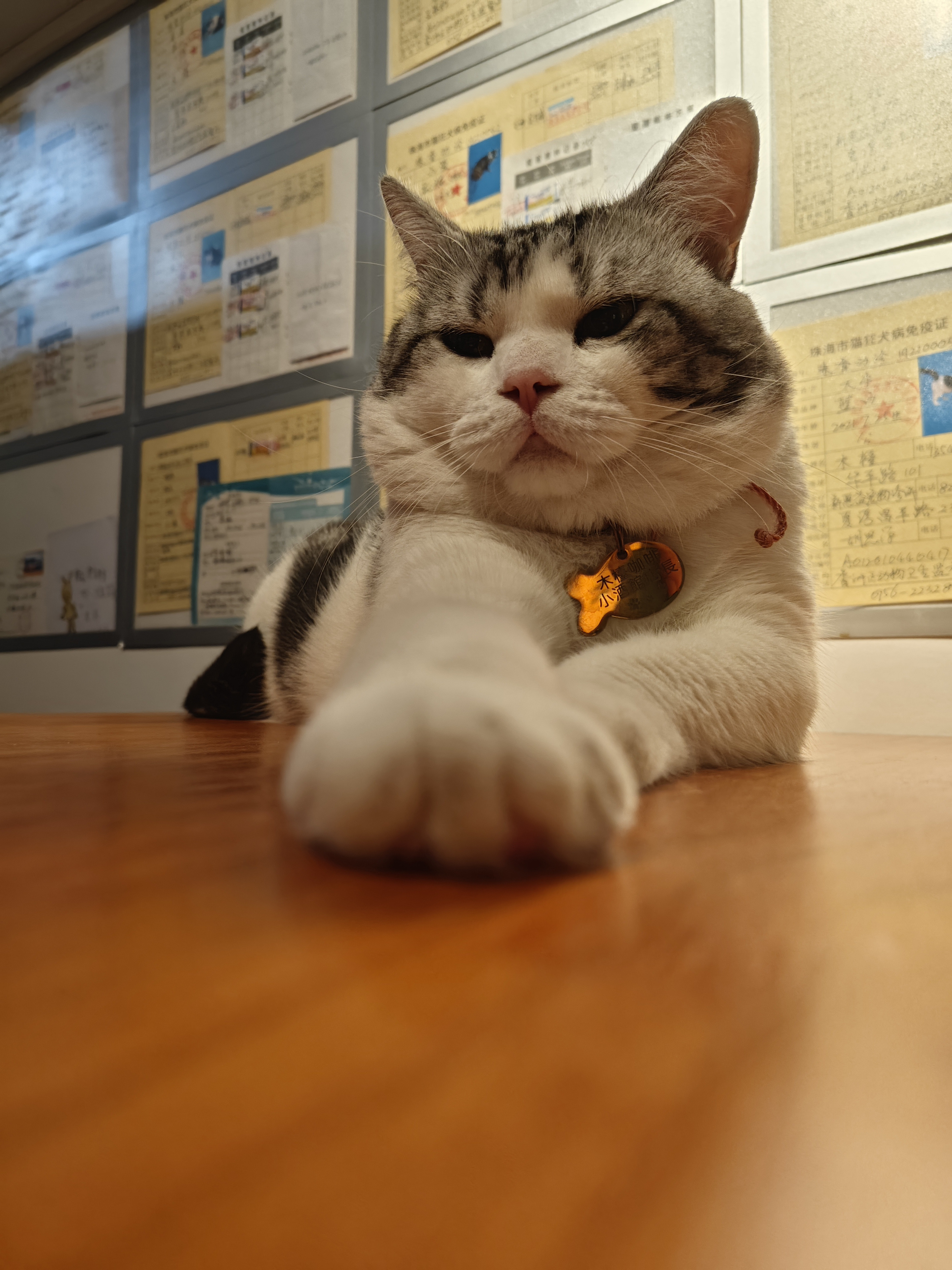 大吉 相册