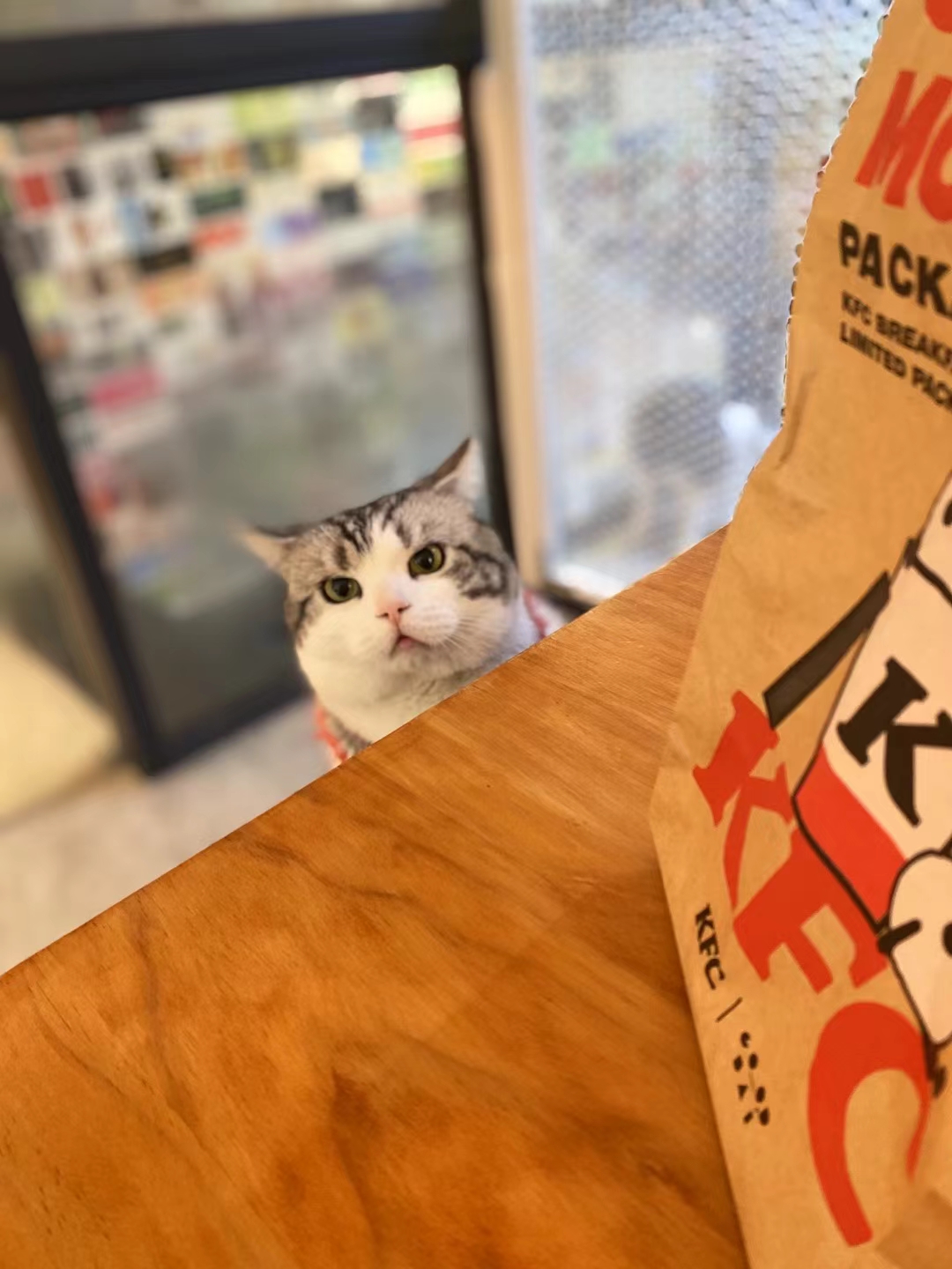 大吉 相册