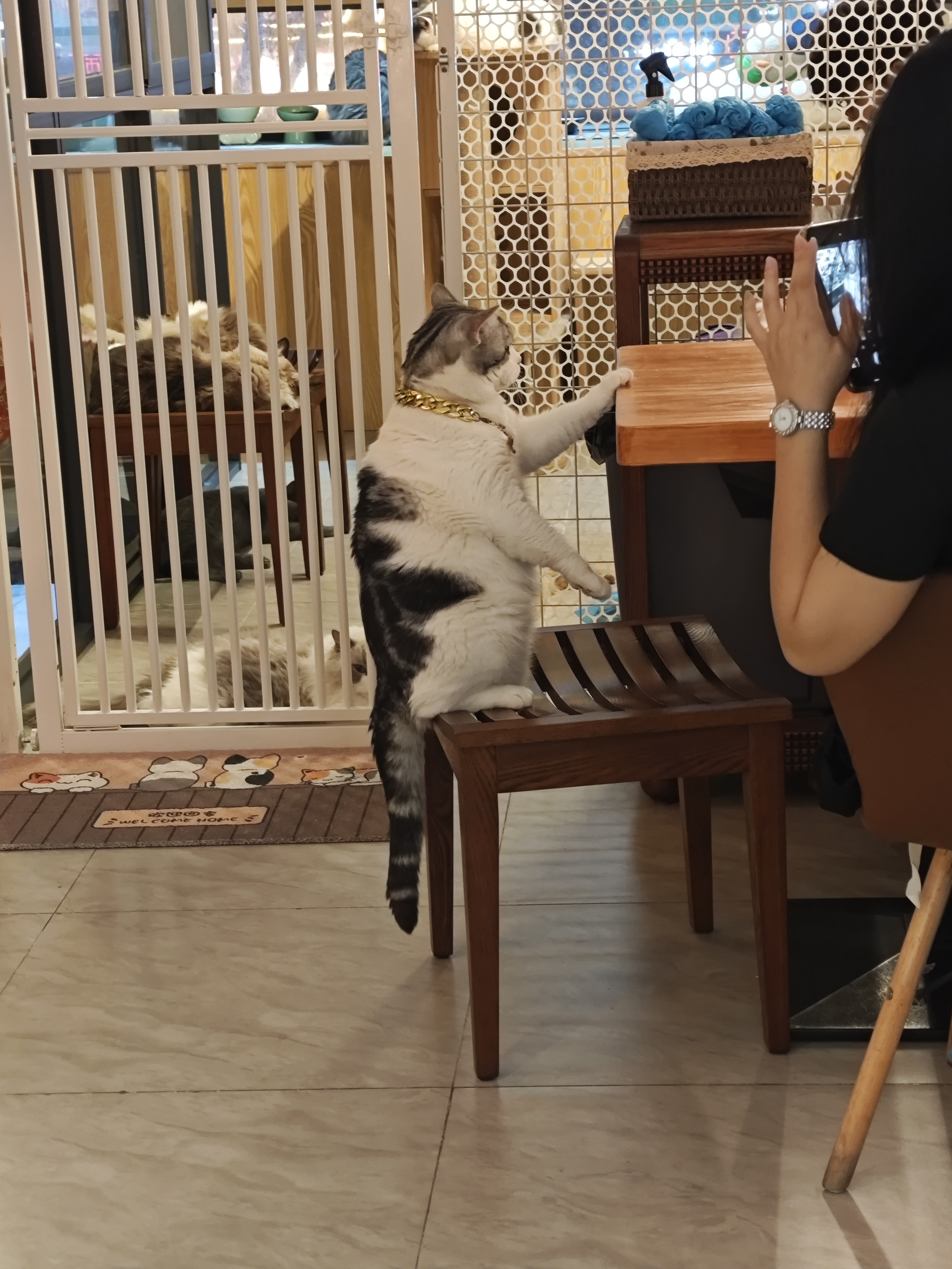 大吉 相册