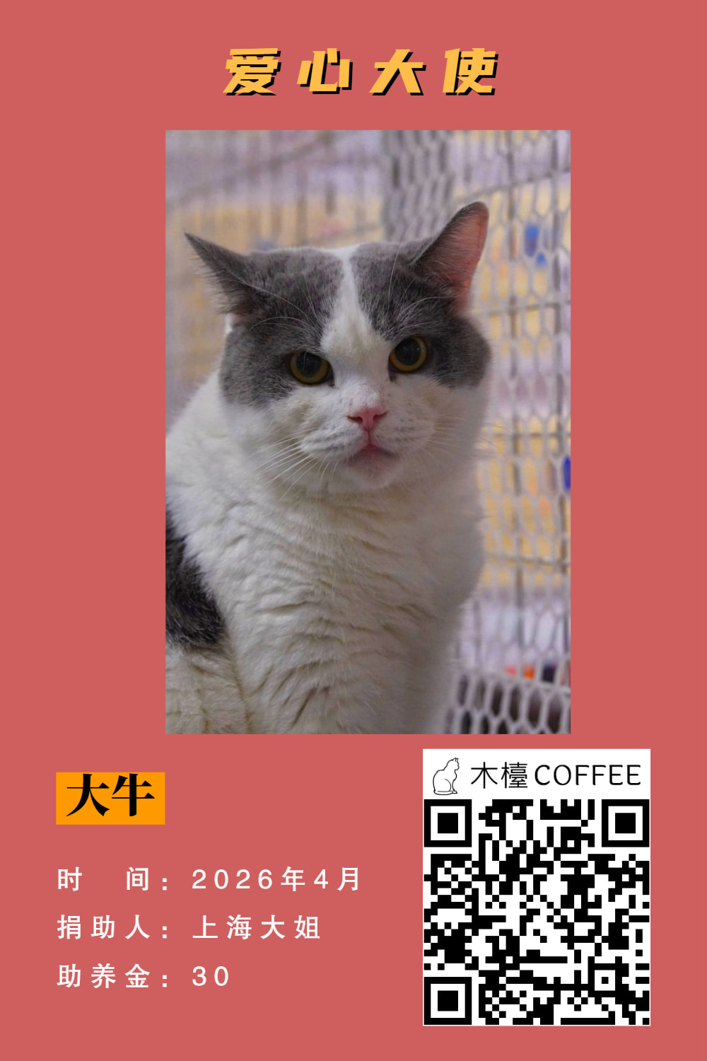 大牛 助养记录