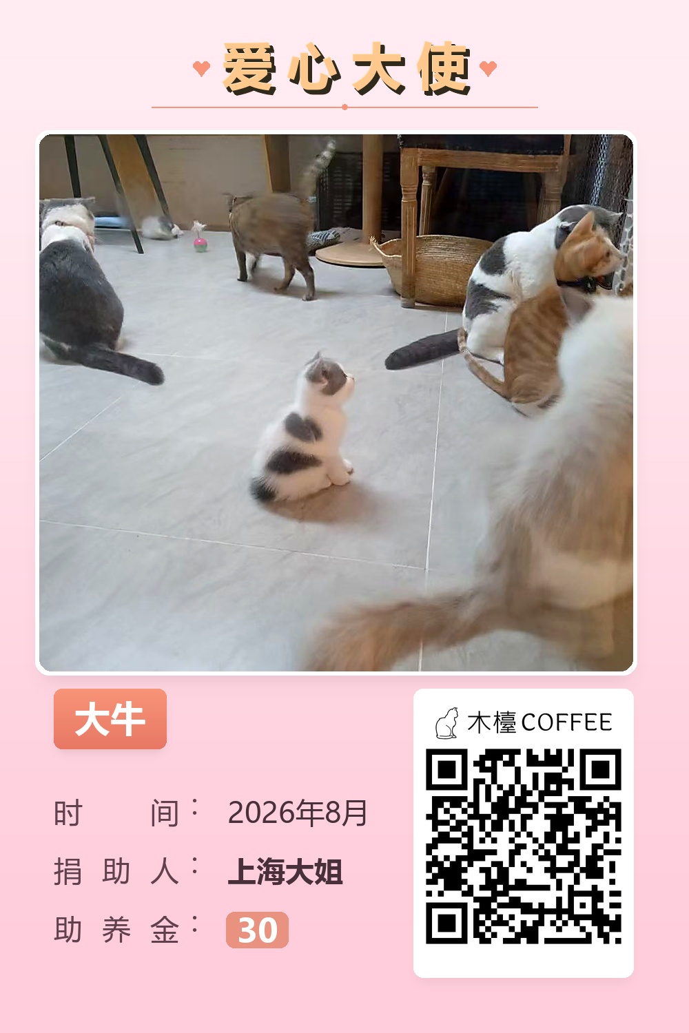 大牛 助养记录