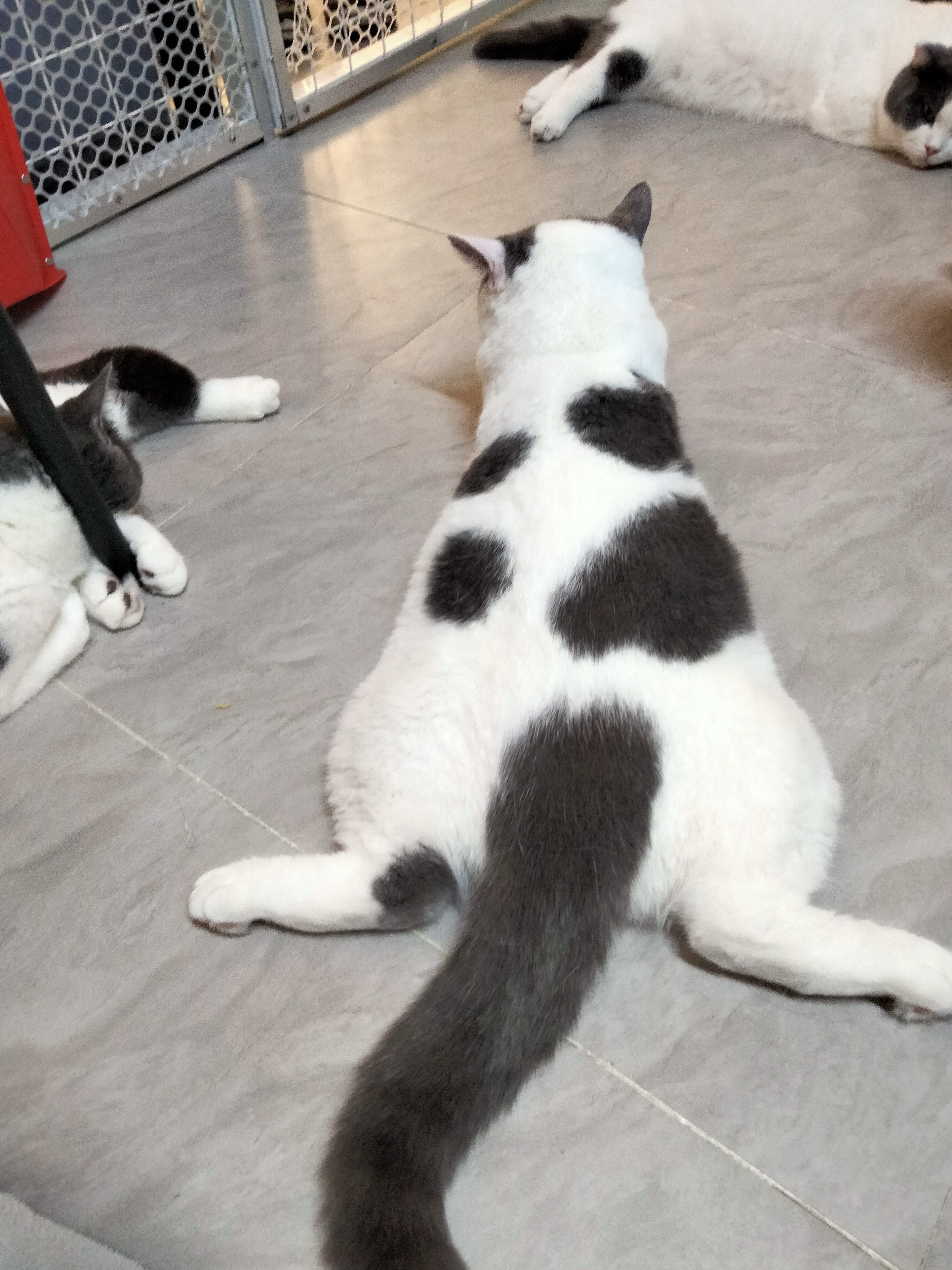 大牛 相册