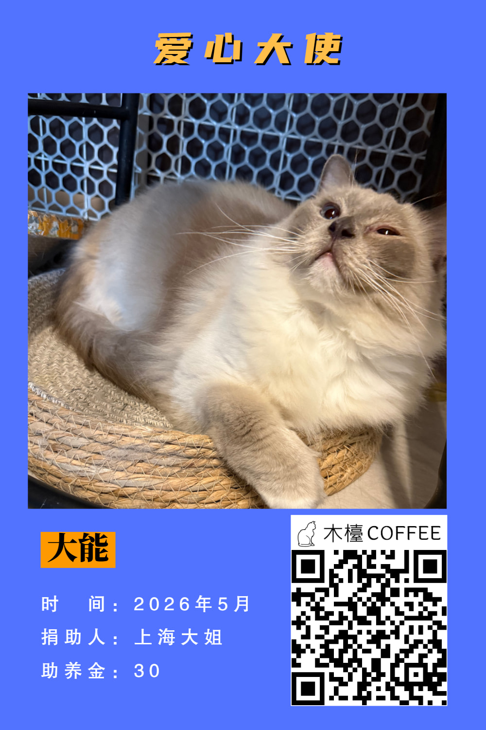 大能 助养记录