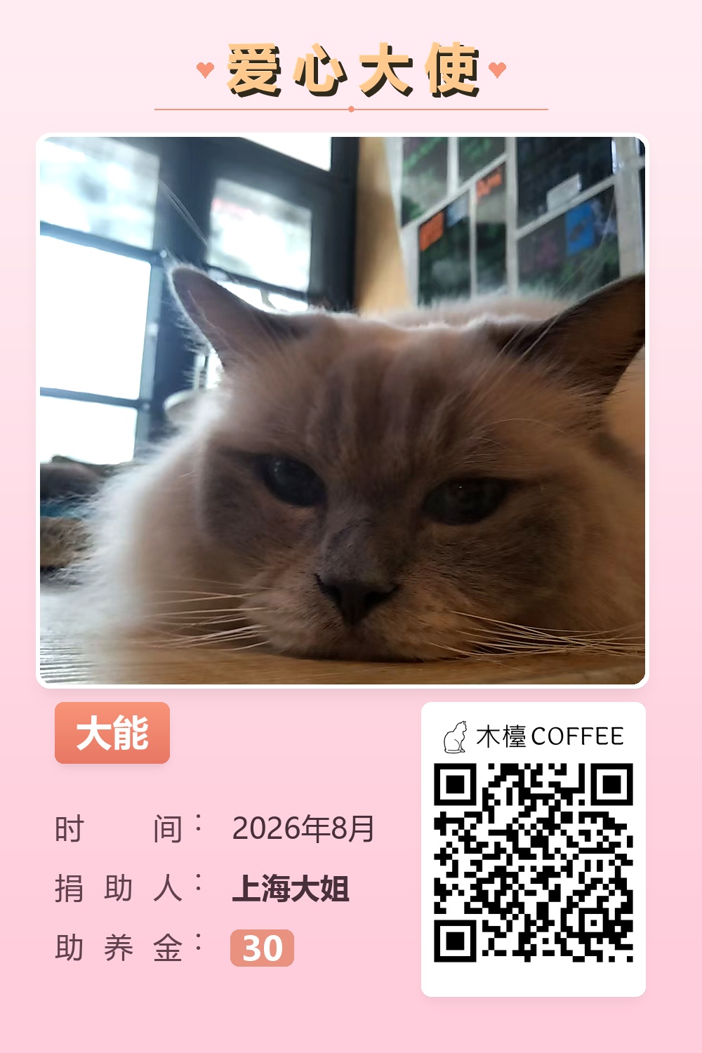 大能 助养记录