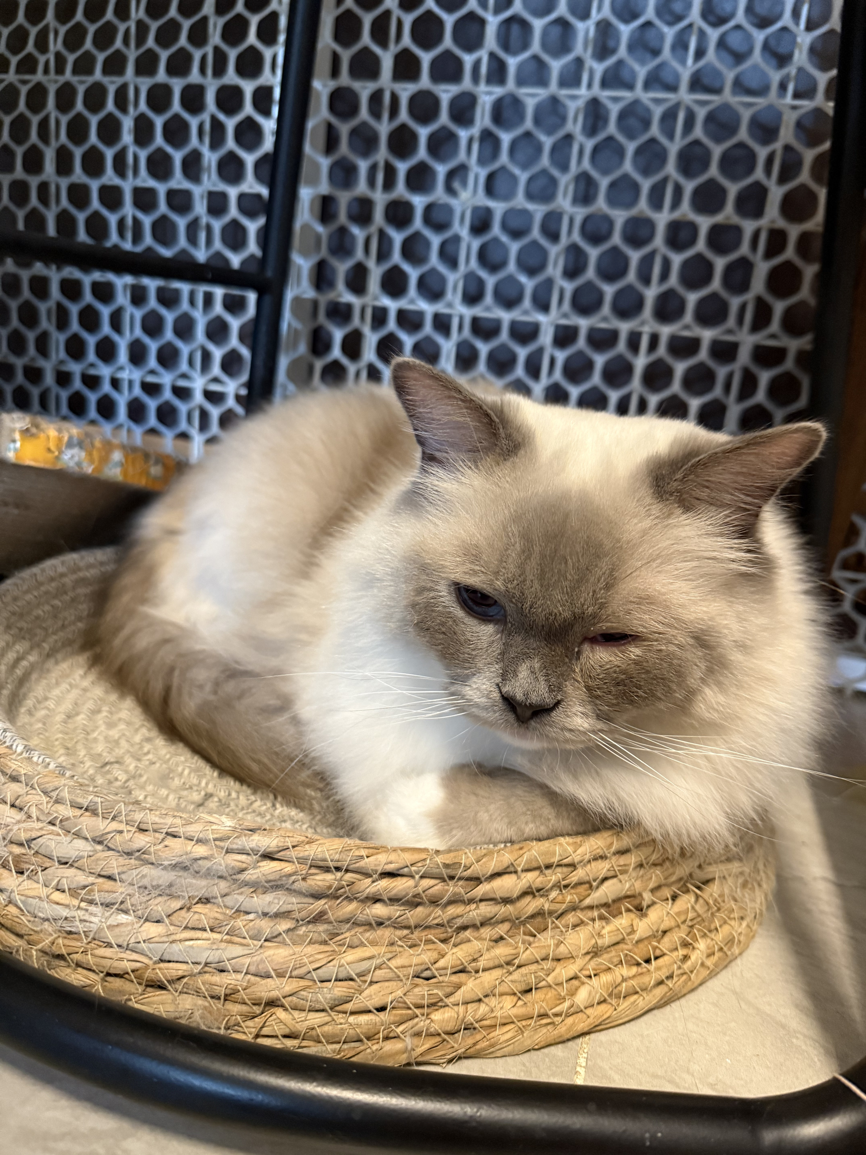 大能 相册