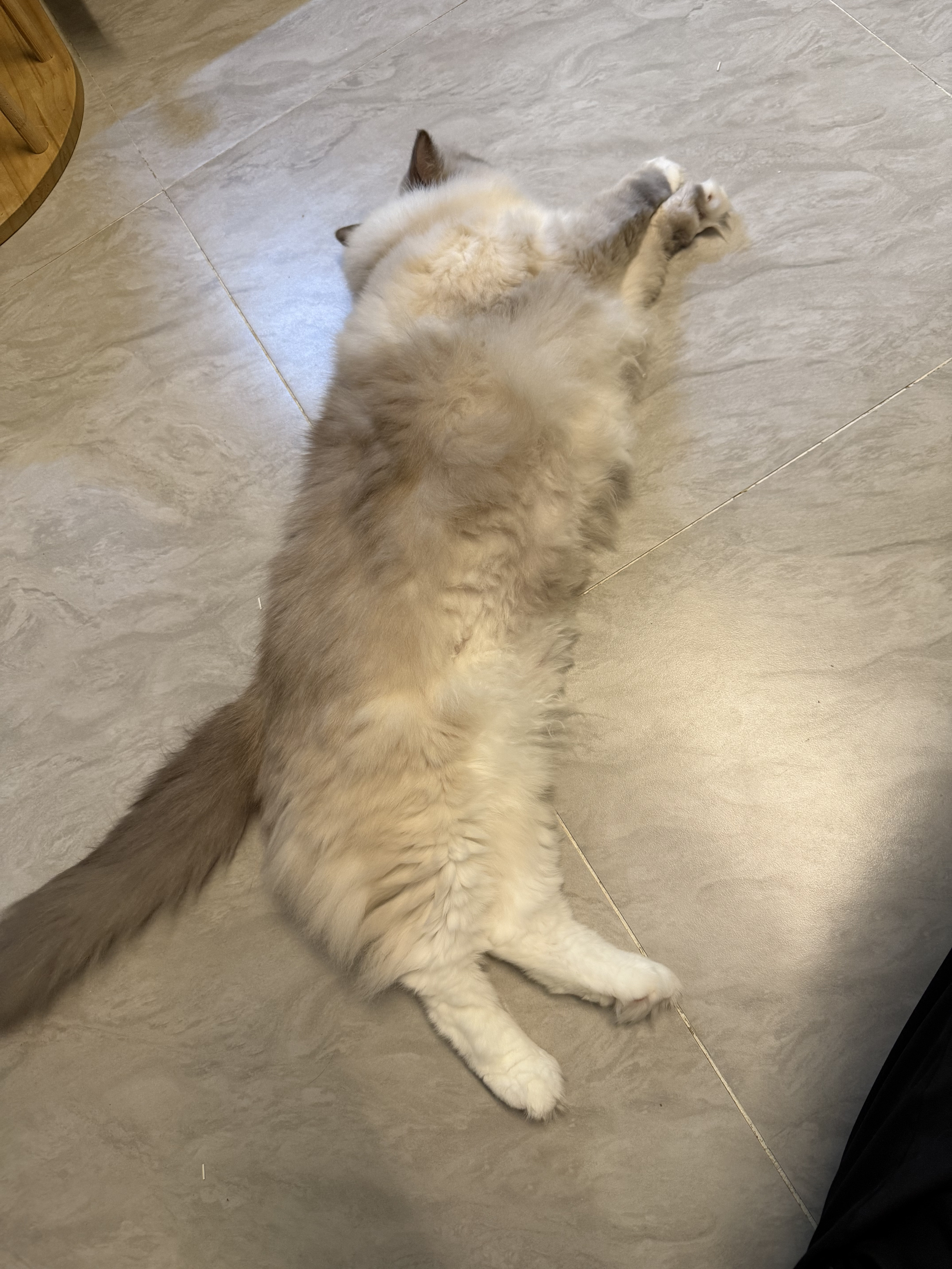 大能 相册