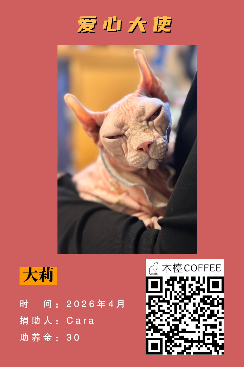 大莉 助养记录