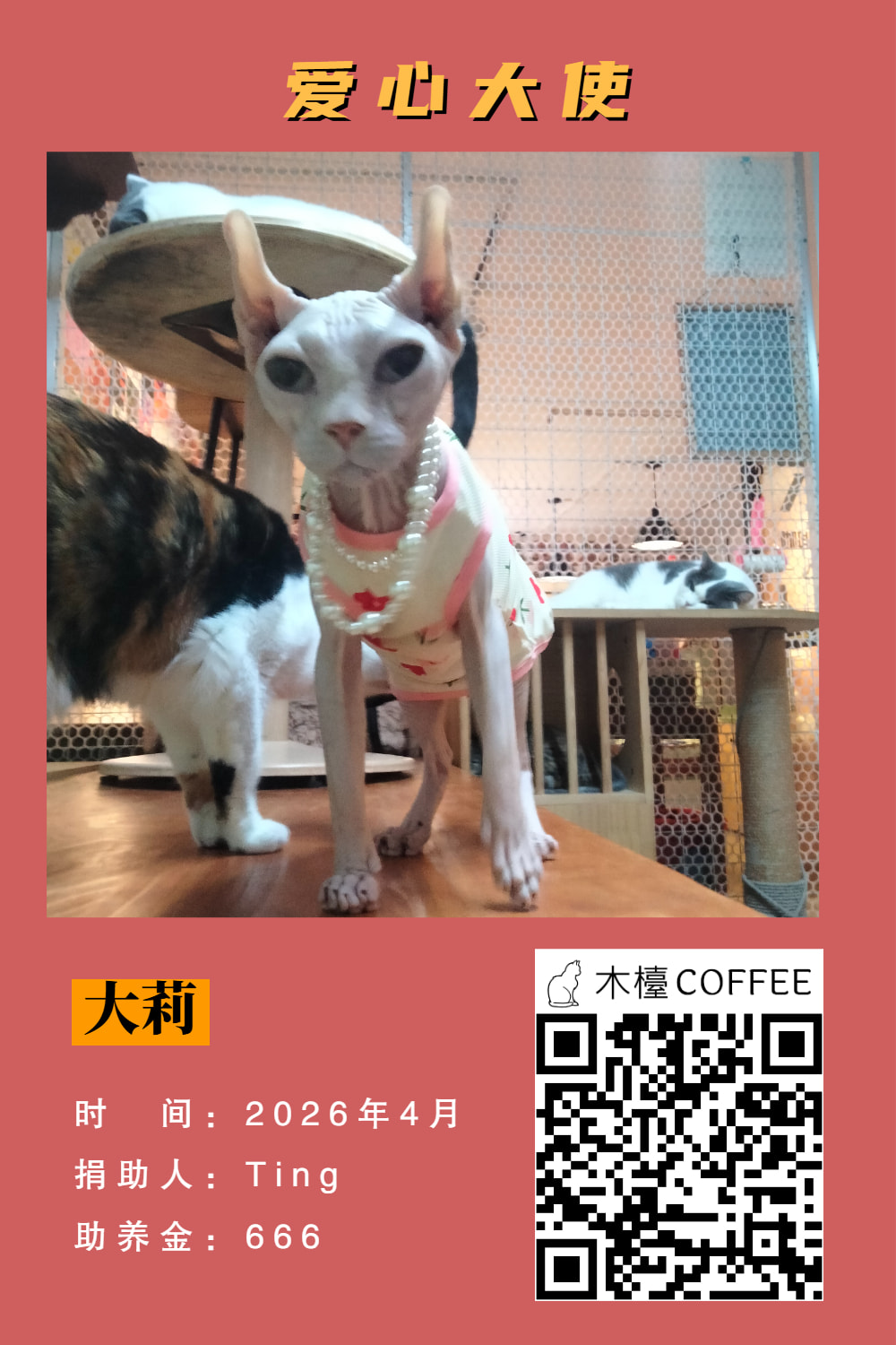 大莉 助养记录