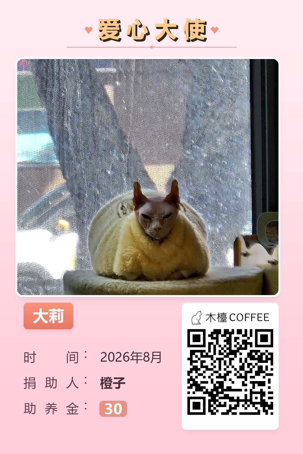 大莉 助养记录