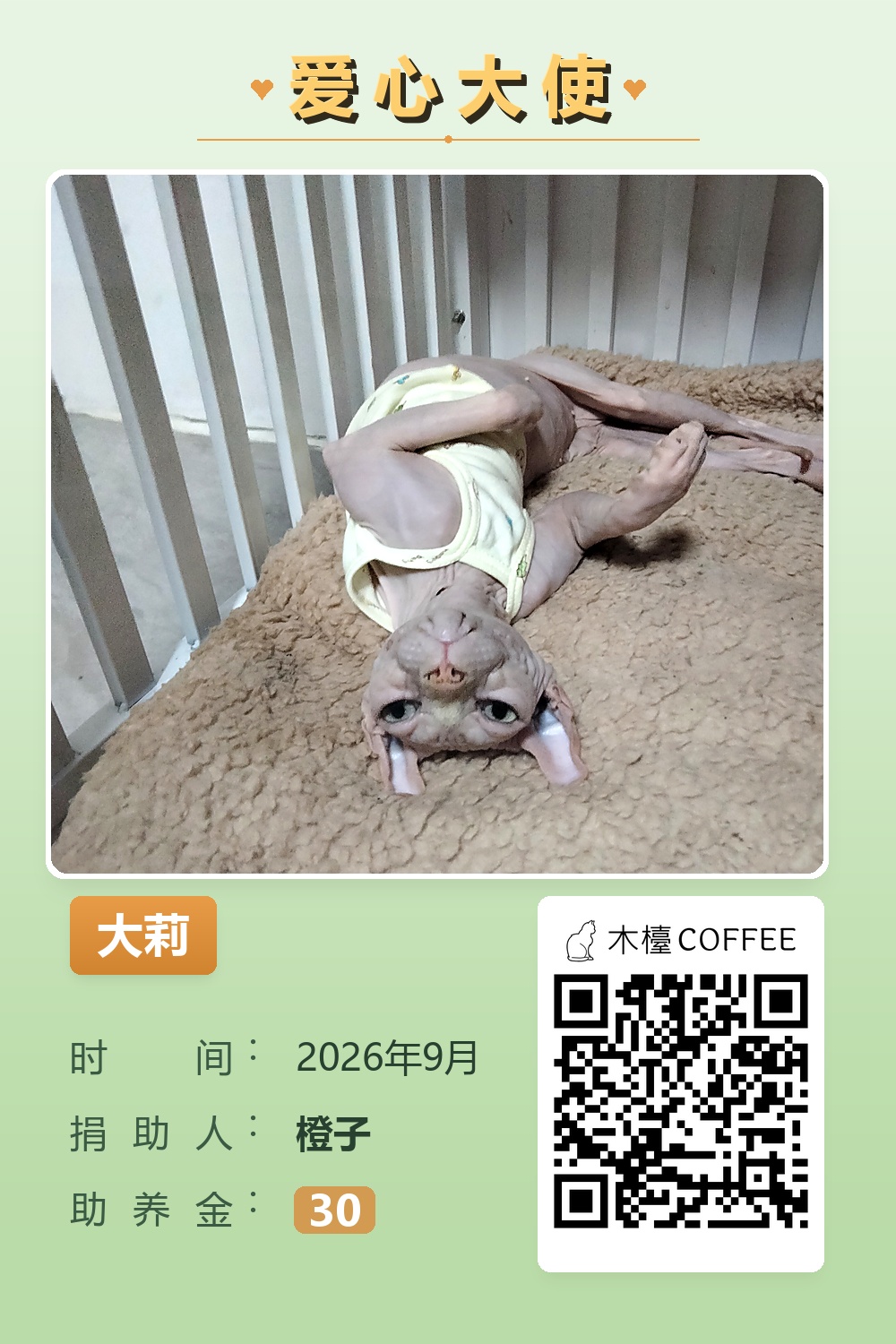 大莉 助养记录
