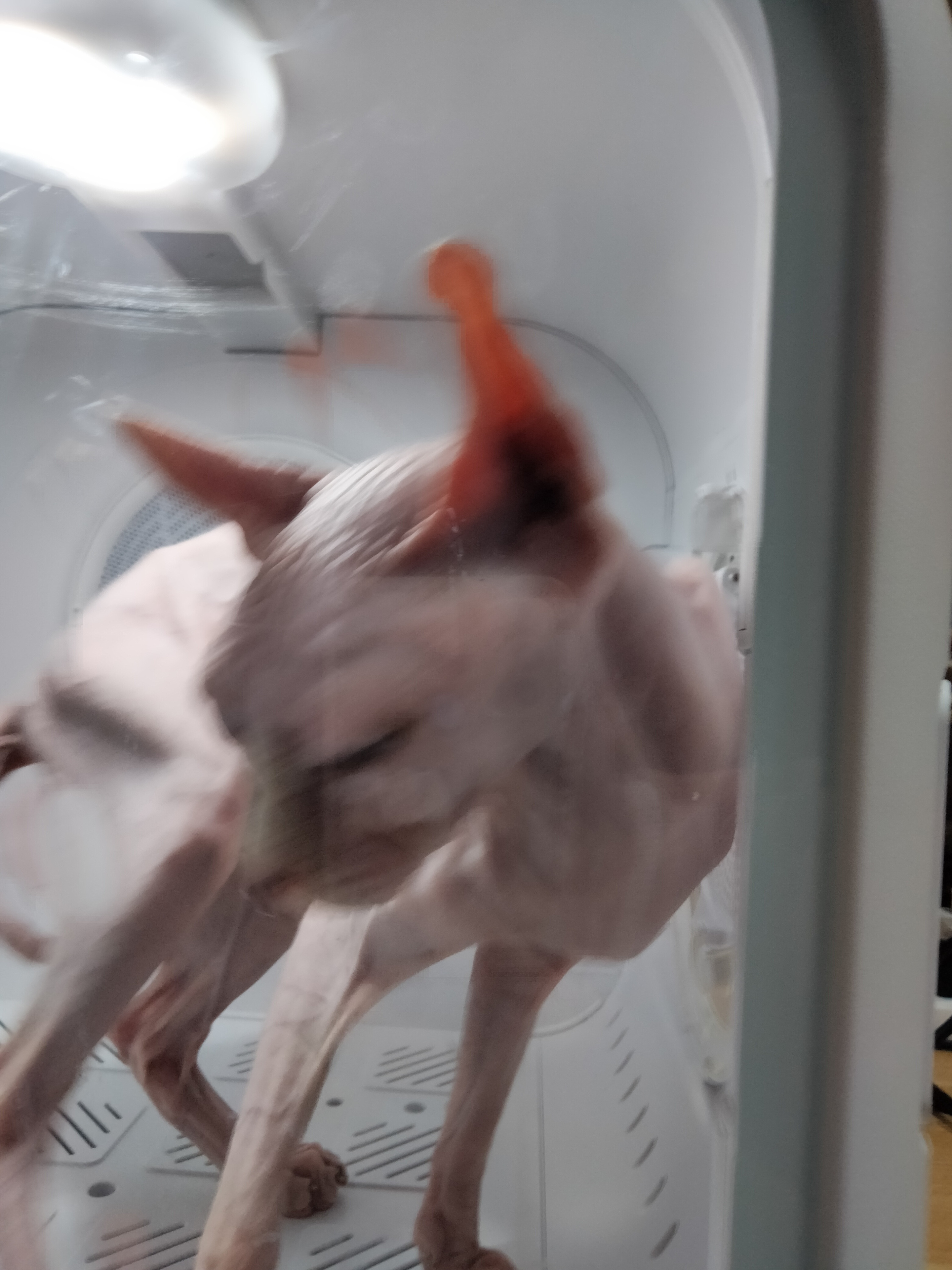 大莉 相册