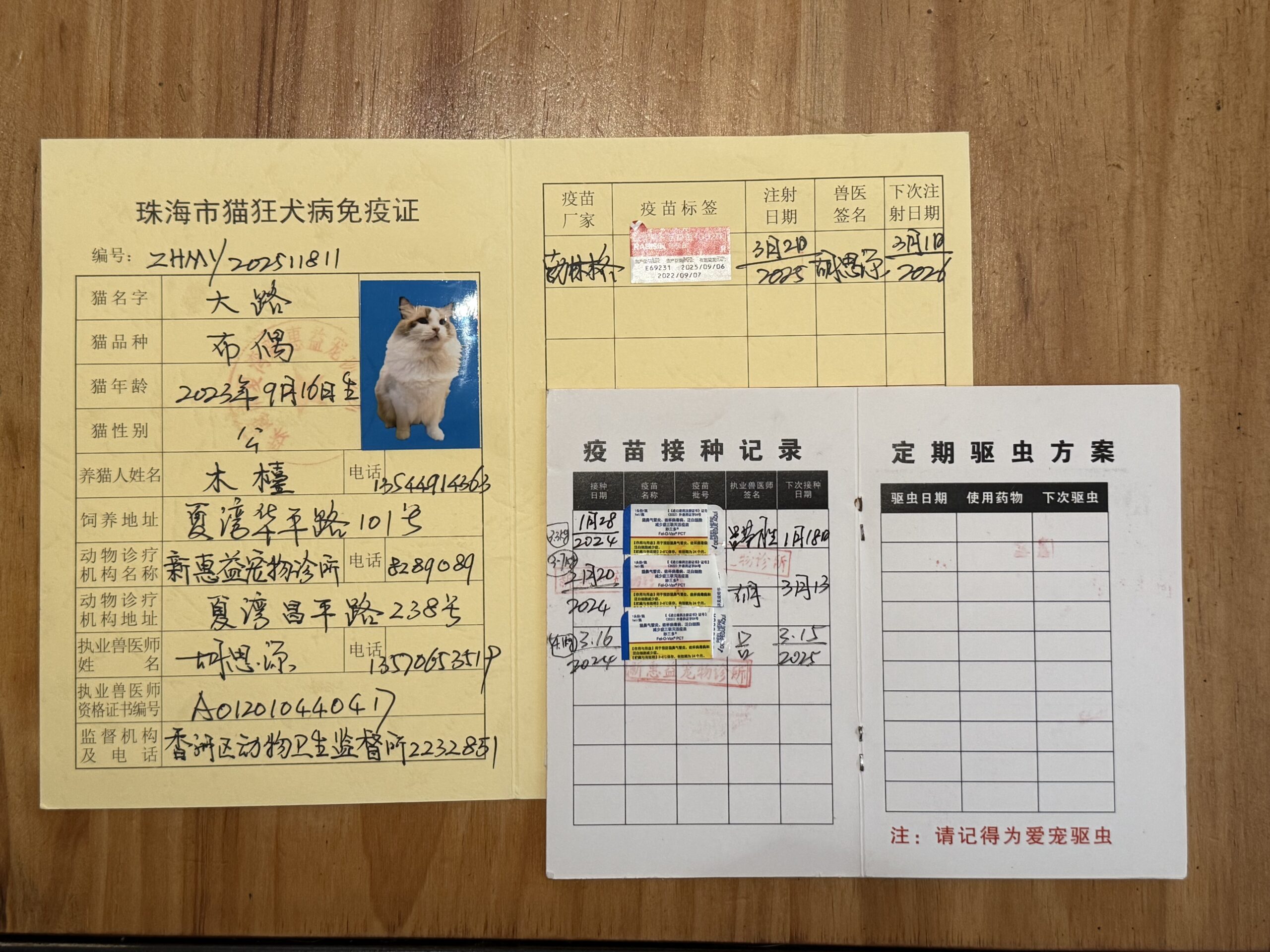 大路 疫苗证