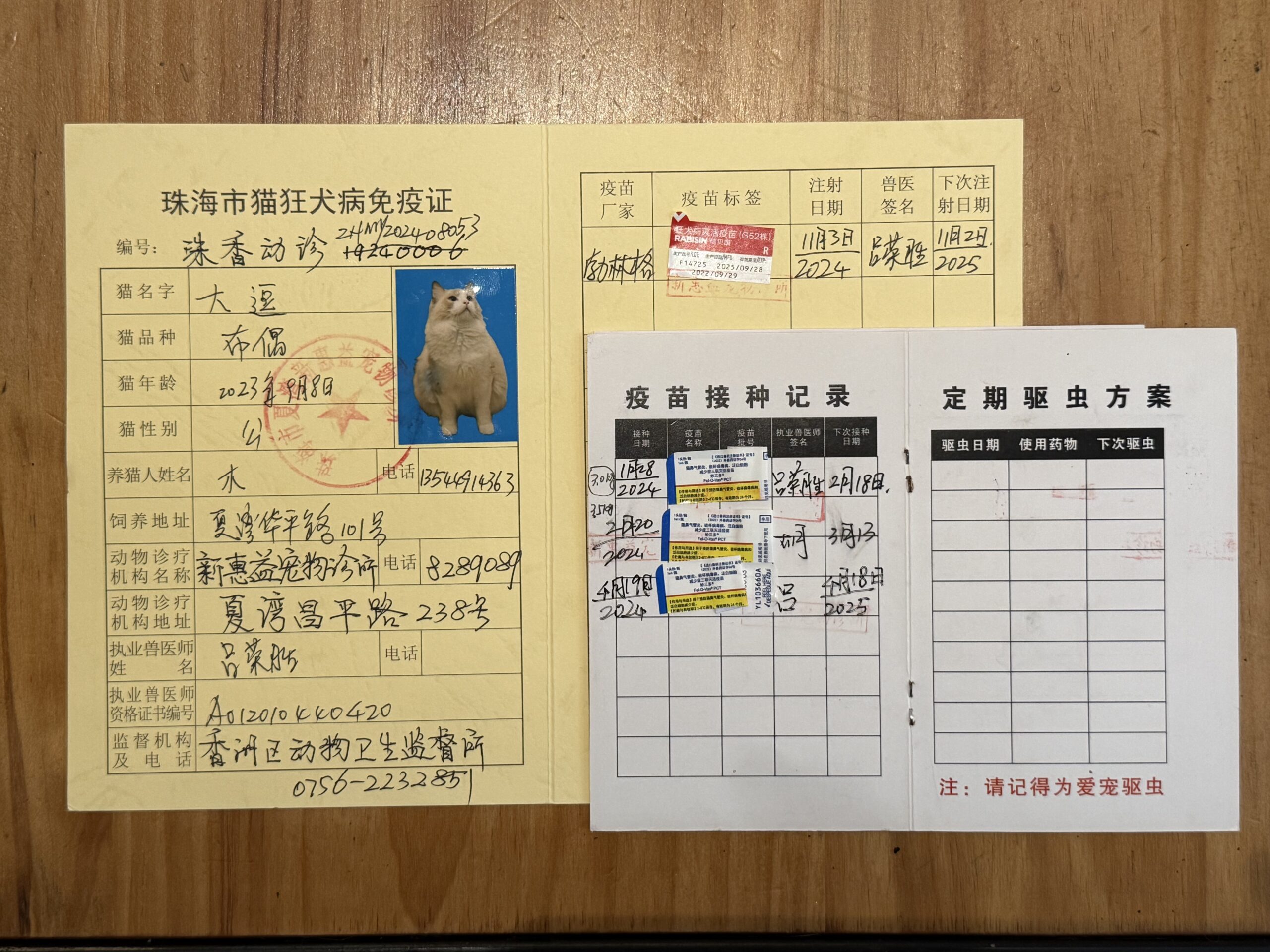 大逗 疫苗证