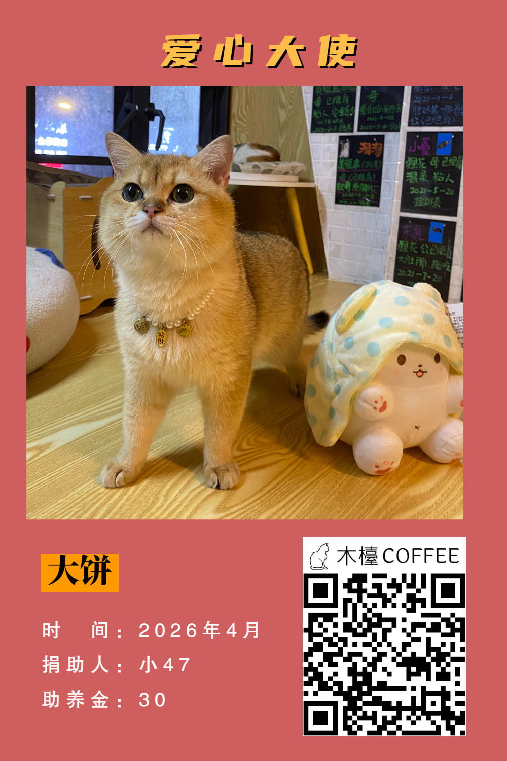 大饼 助养记录