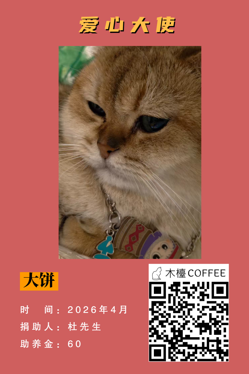 大饼 助养记录