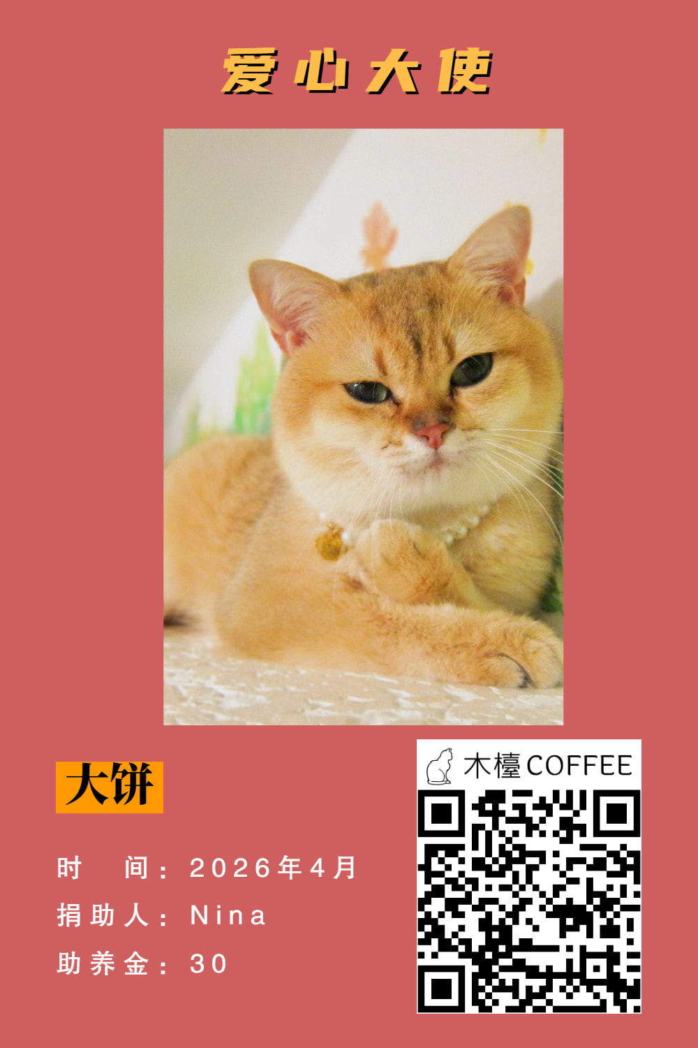 大饼 助养记录