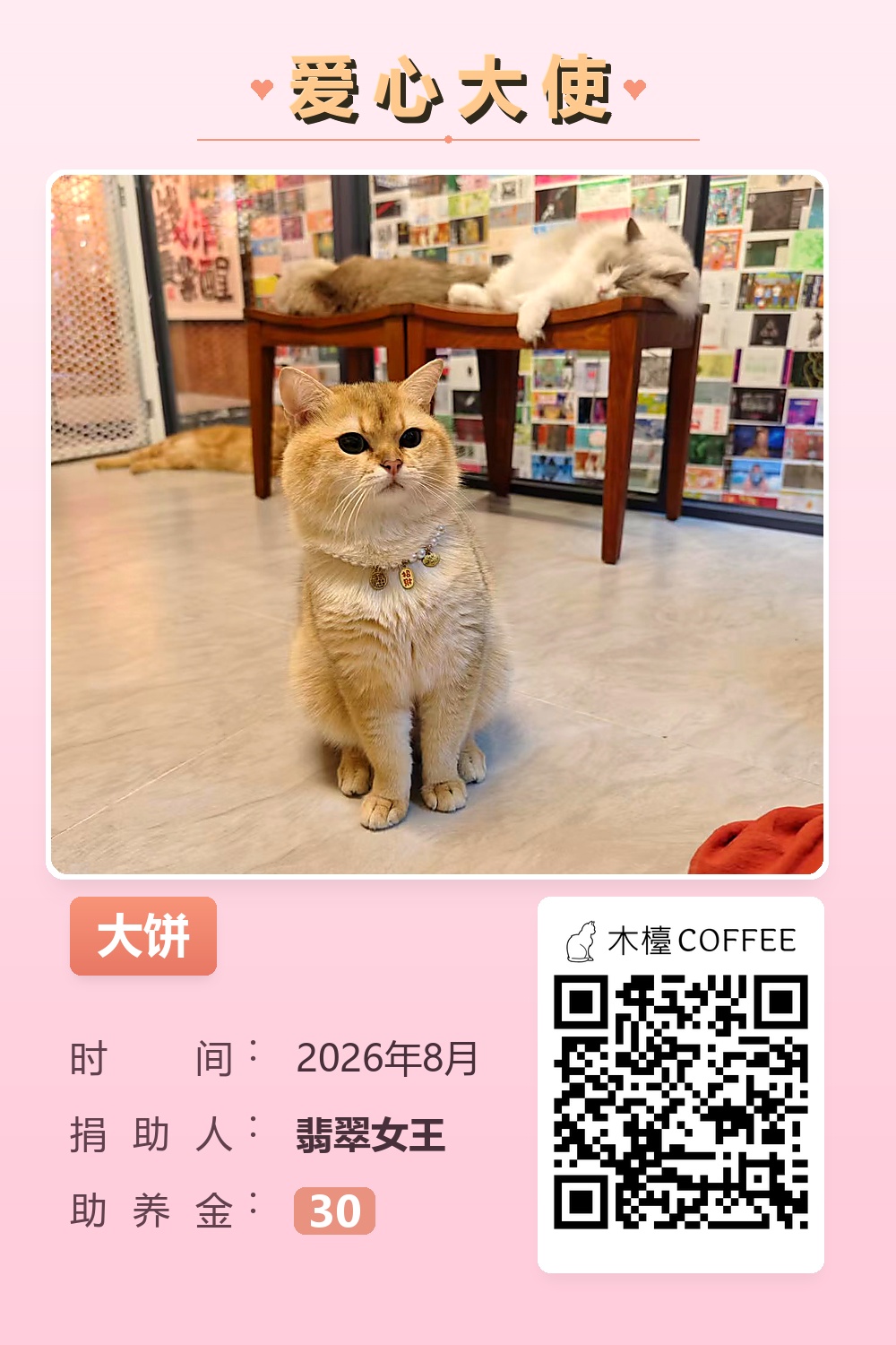 大饼 助养记录