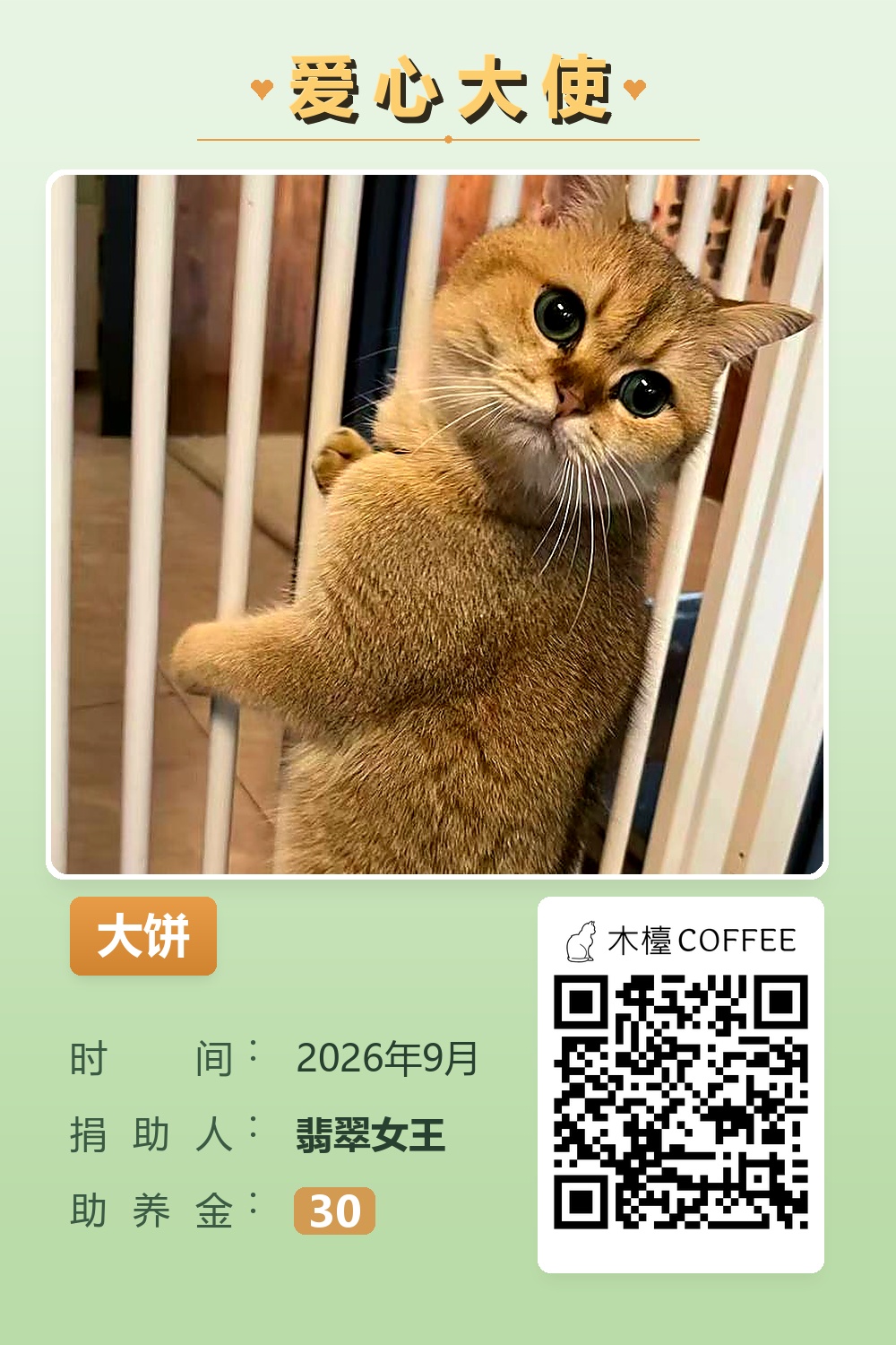 大饼 助养记录