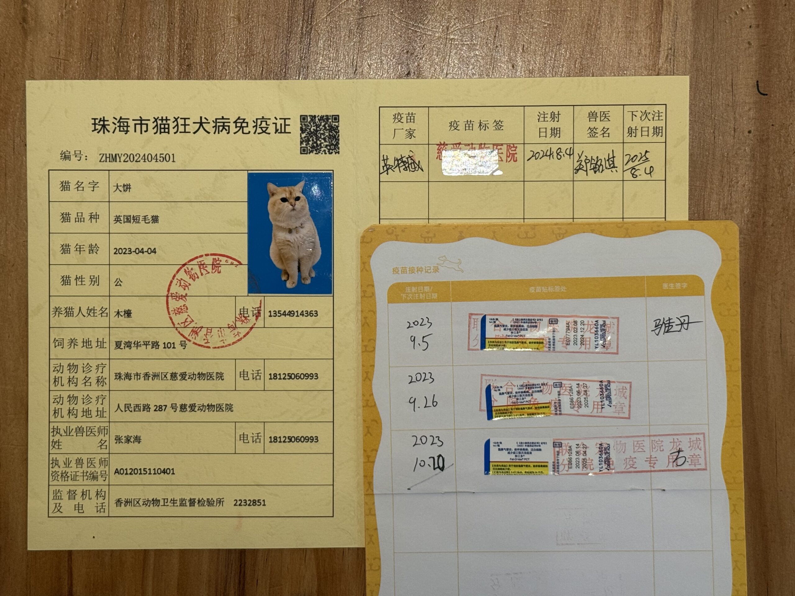 大饼 疫苗证