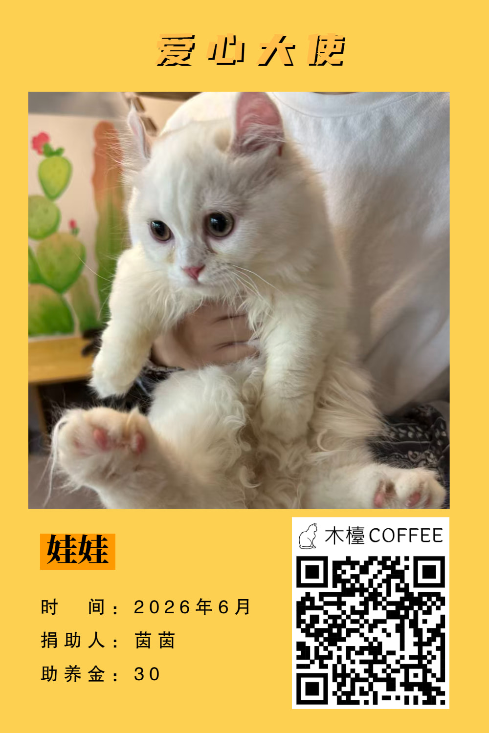 娃娃 助养记录