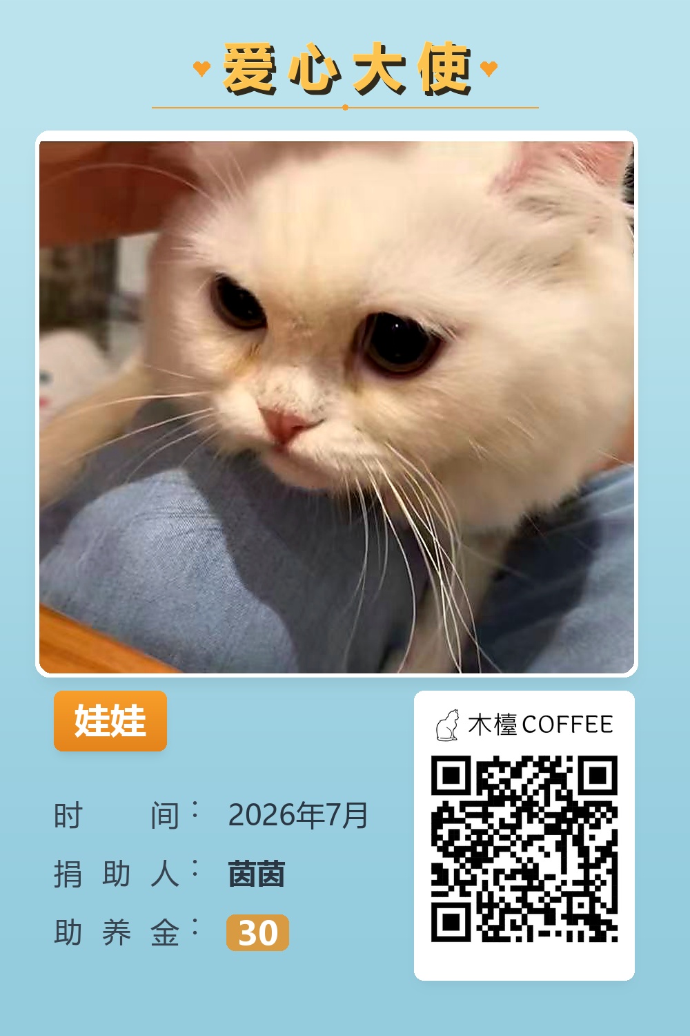 娃娃 助养记录