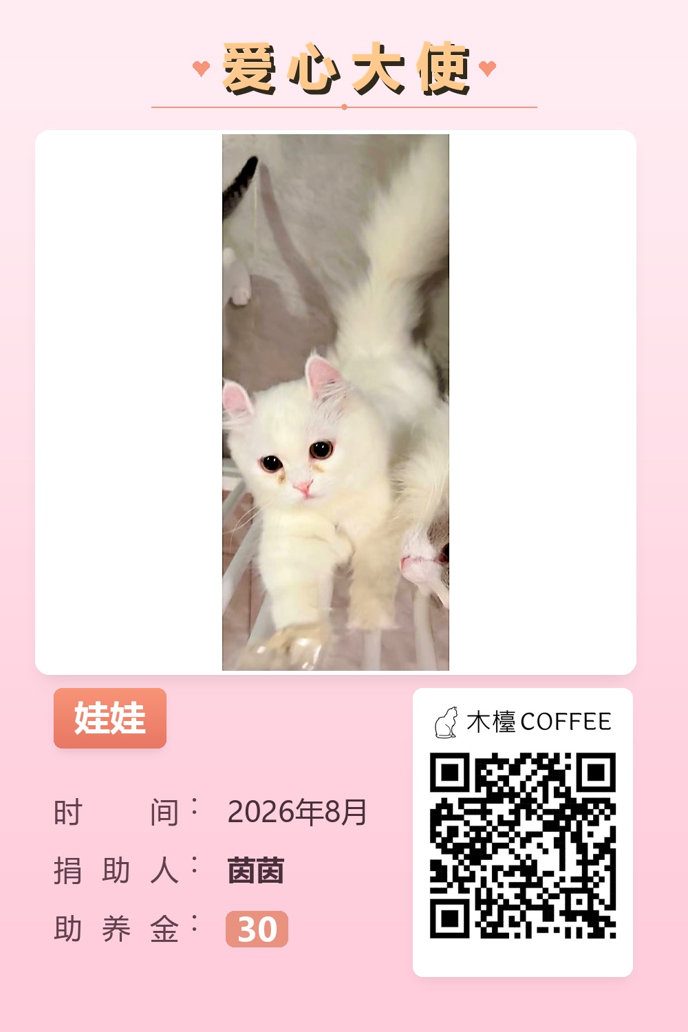 娃娃 助养记录