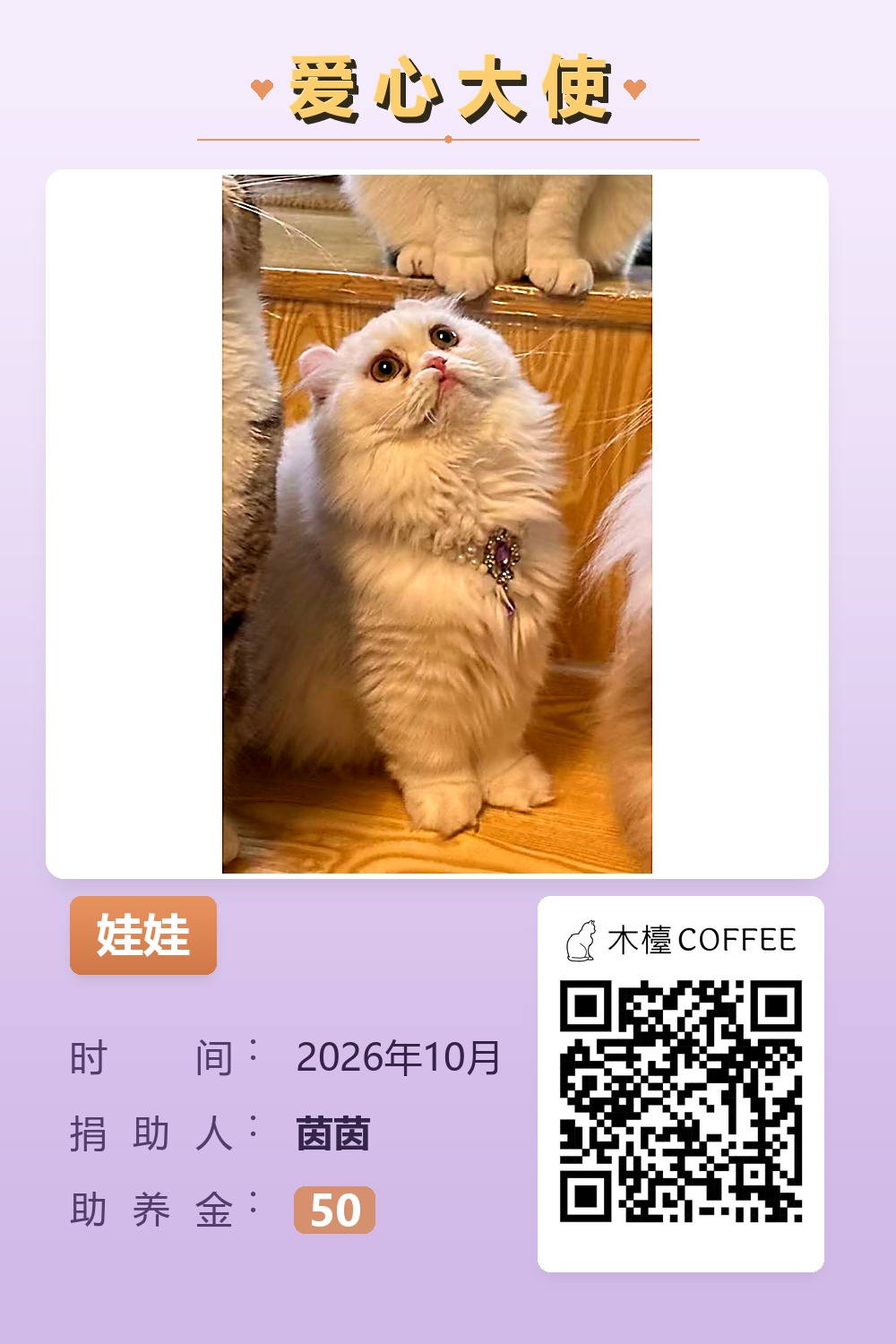 娃娃 助养记录