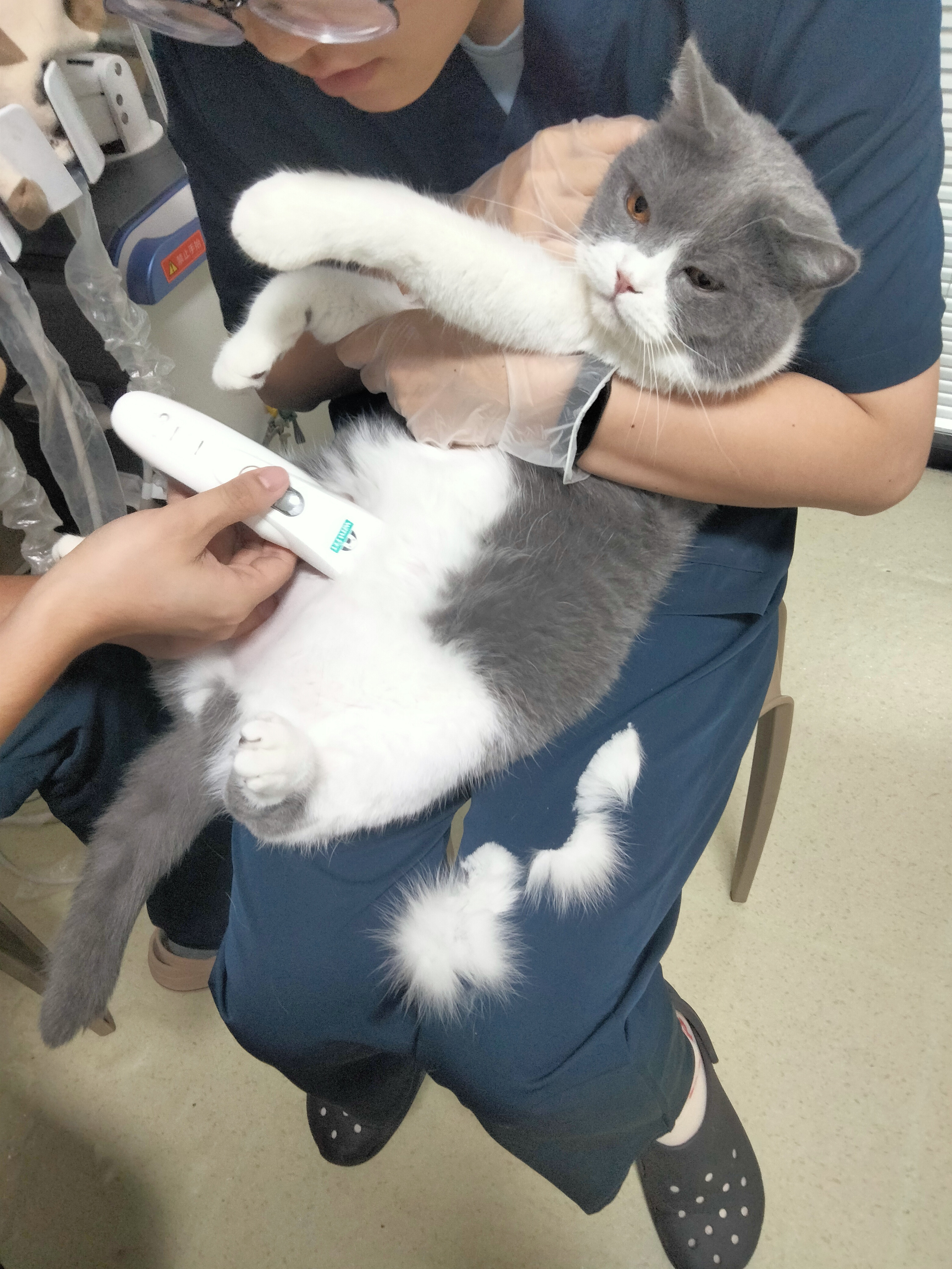 宝儿 相册