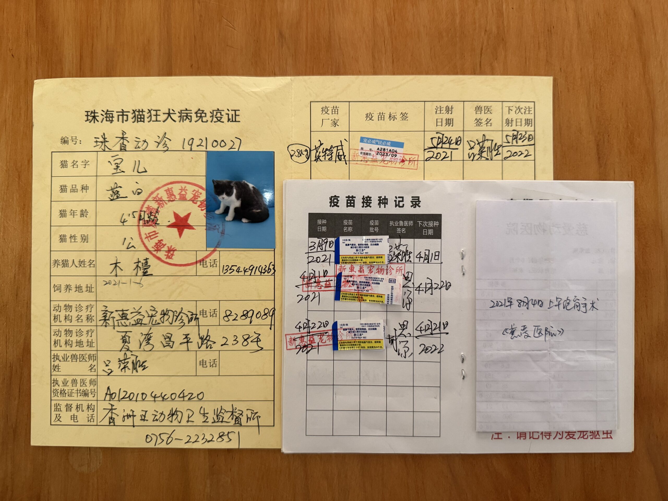 宝儿 疫苗证