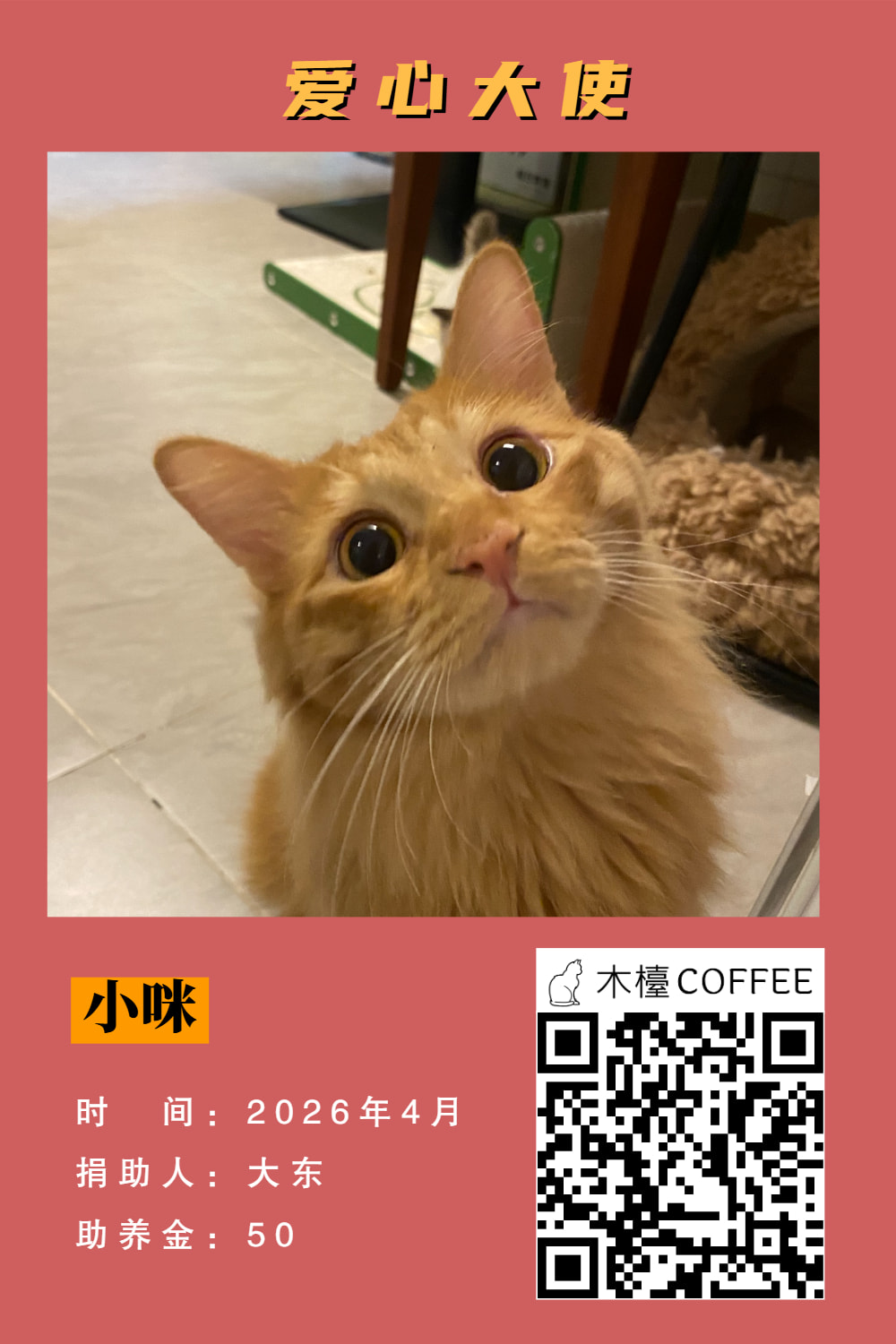小咪 助养记录
