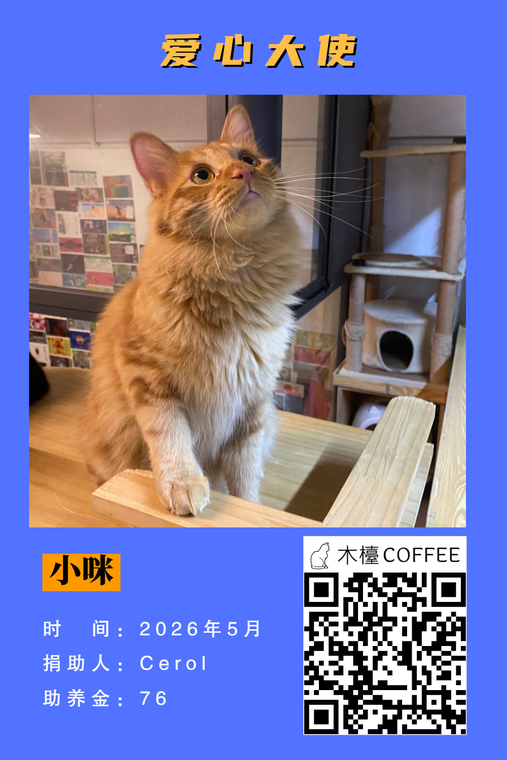 小咪 助养记录
