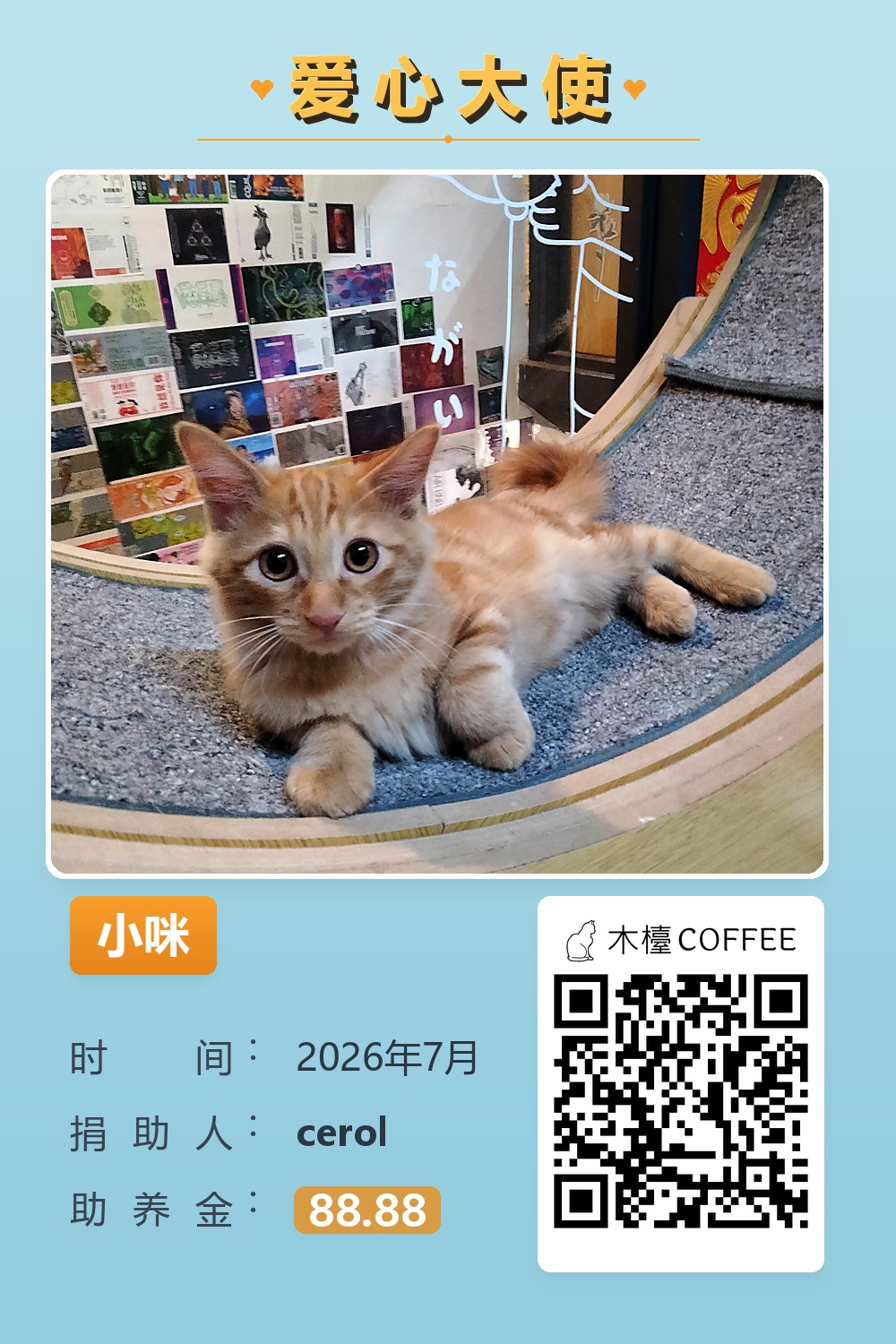 小咪 助养记录