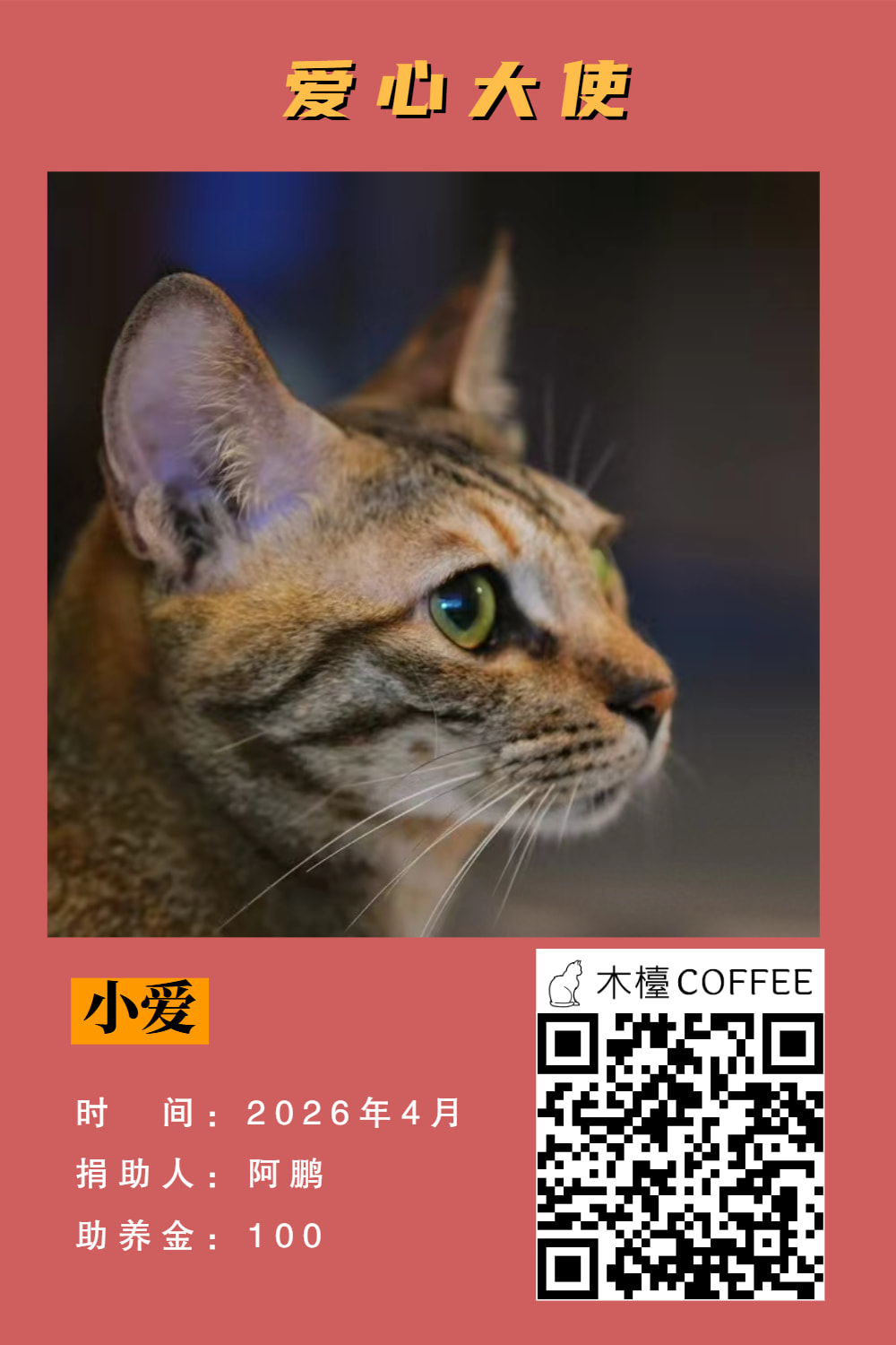 小爱 助养记录