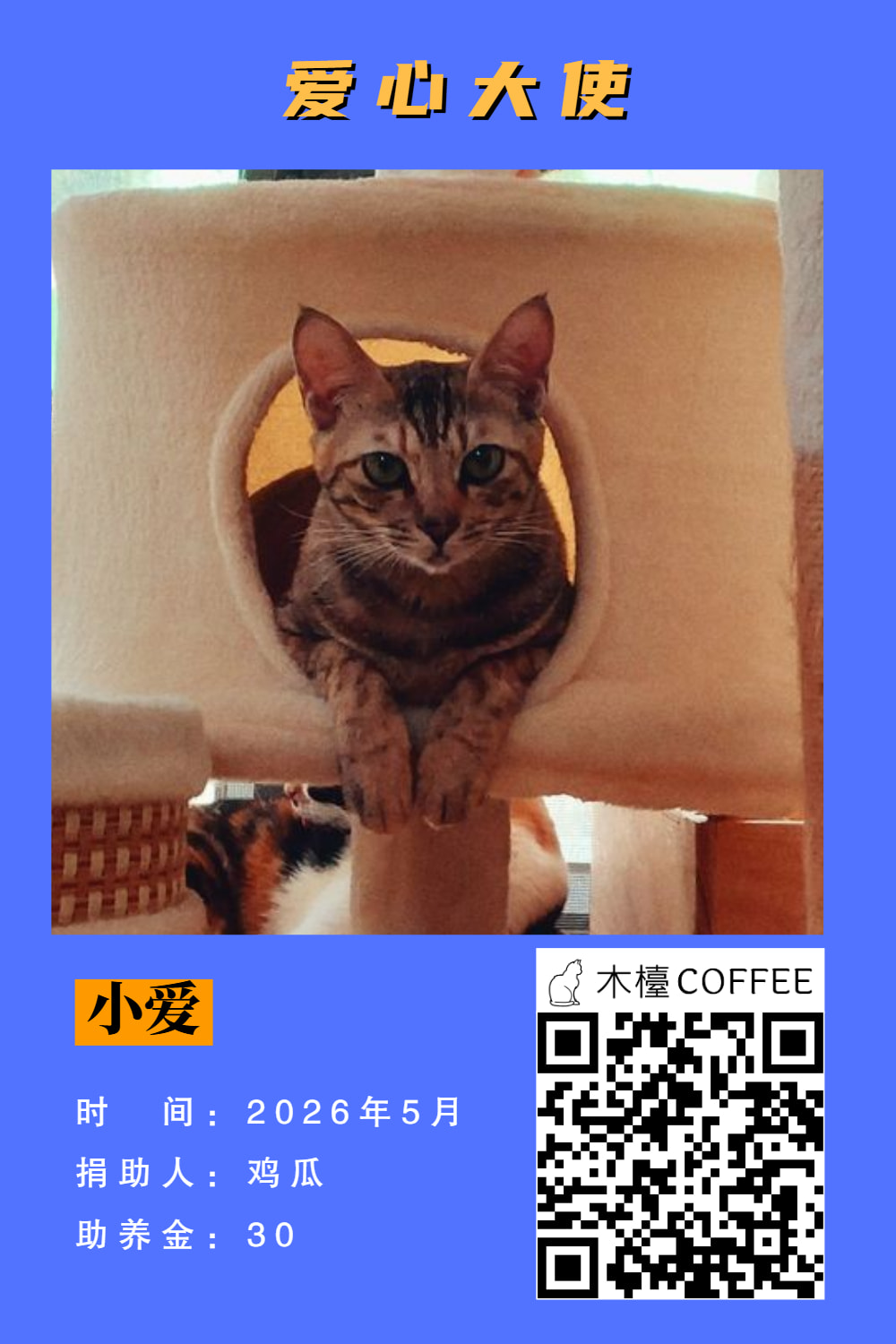 小爱 助养记录