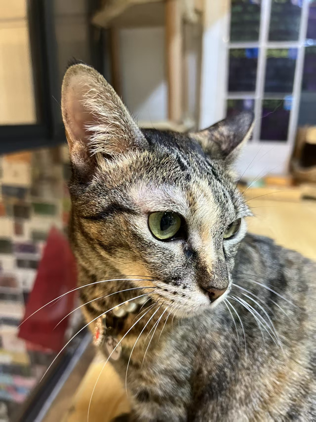 小爱 相册
