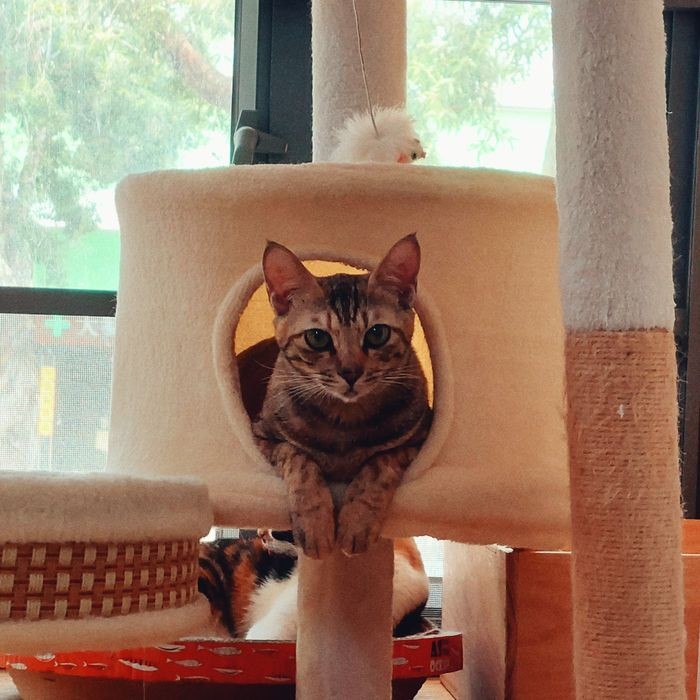 小爱 相册