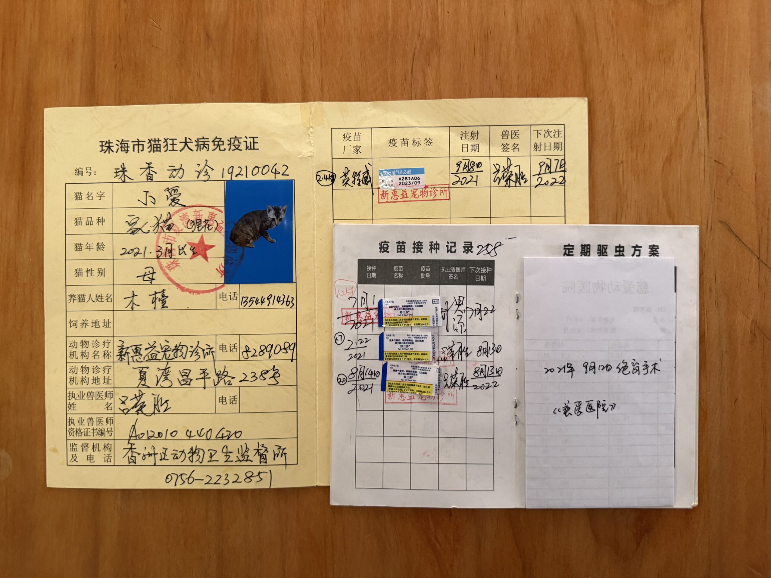 小爱 疫苗证